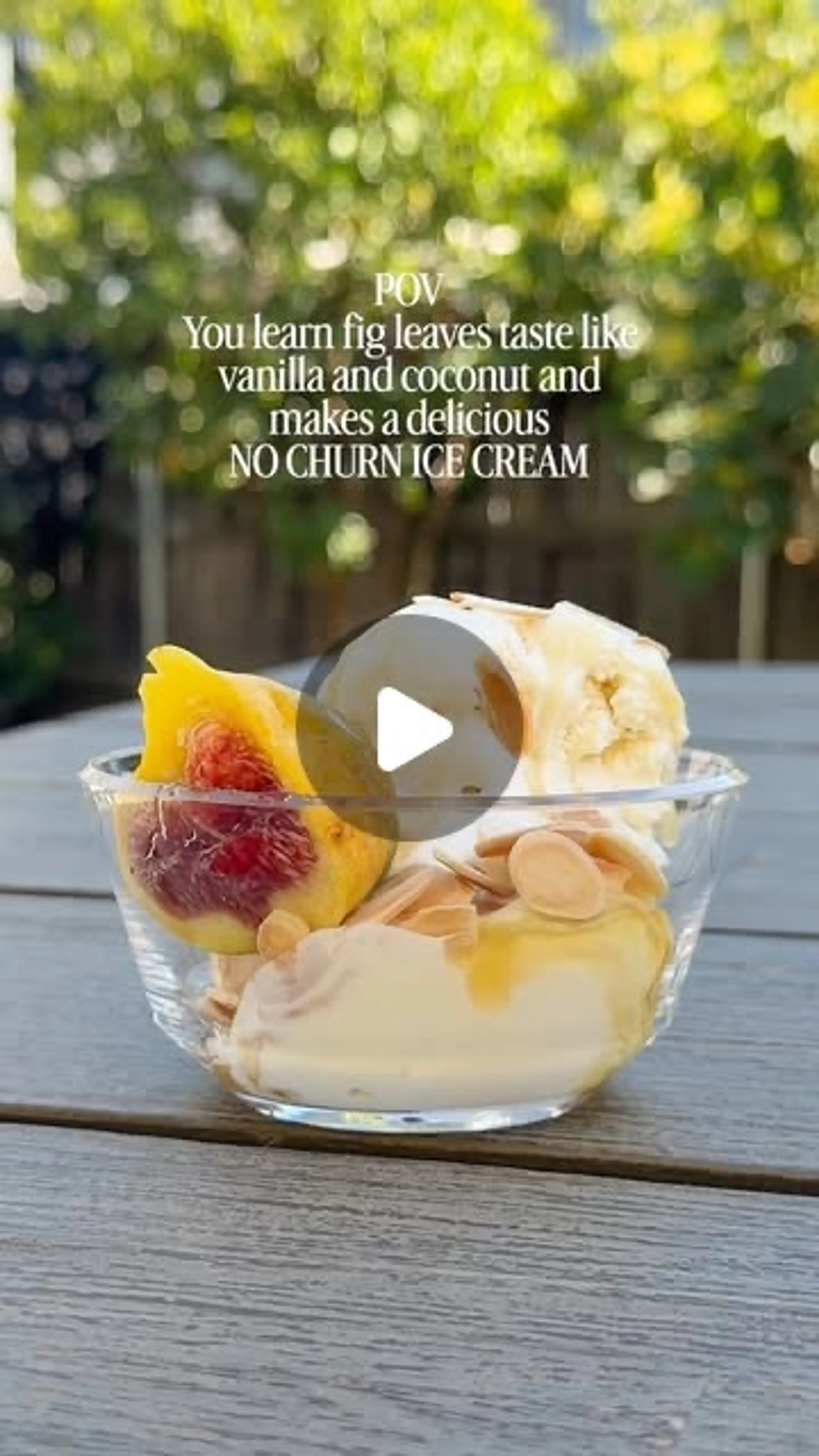 Fig Leaf Ice Cream | Umami