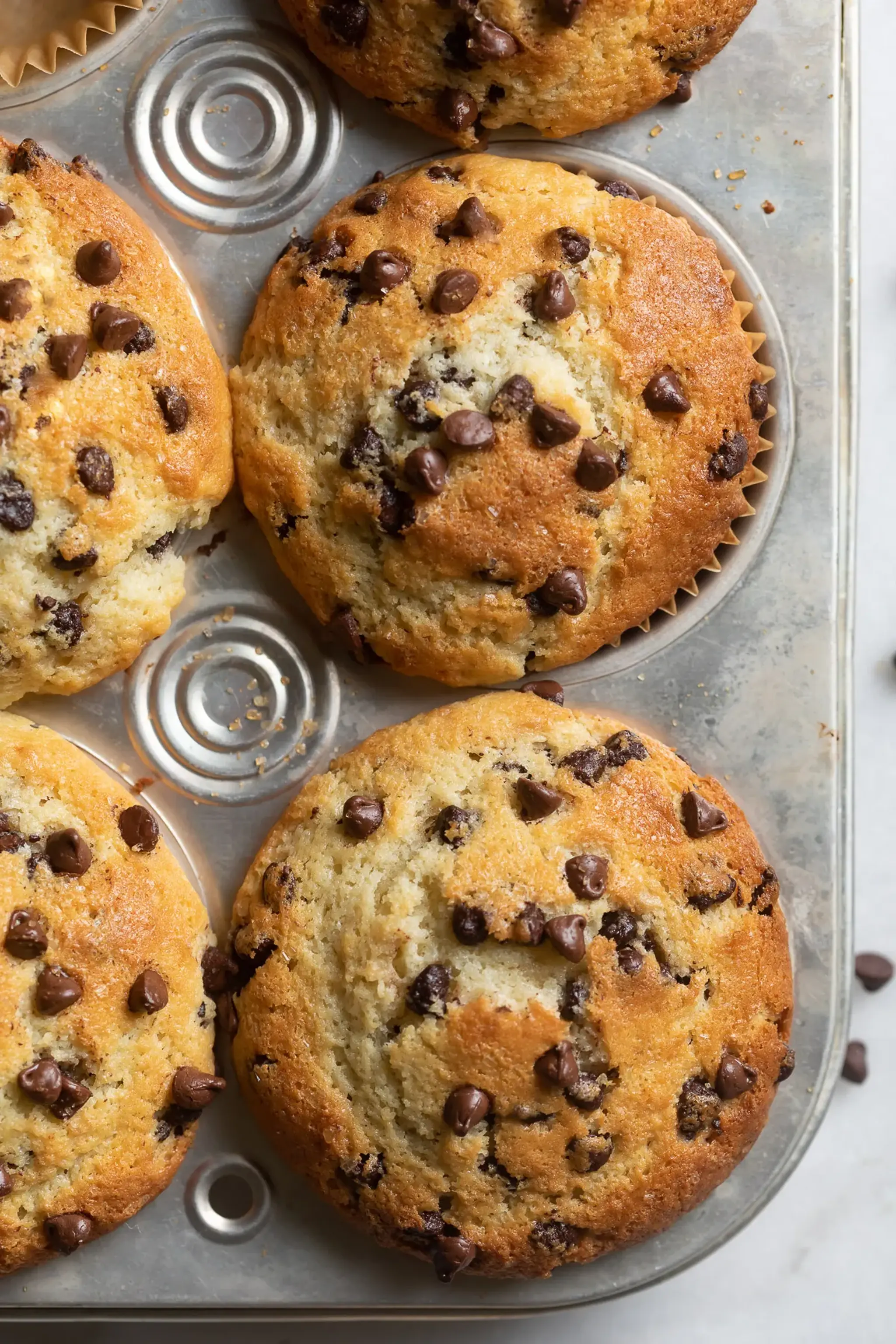Bakery Style Chocolate Chip Muffins