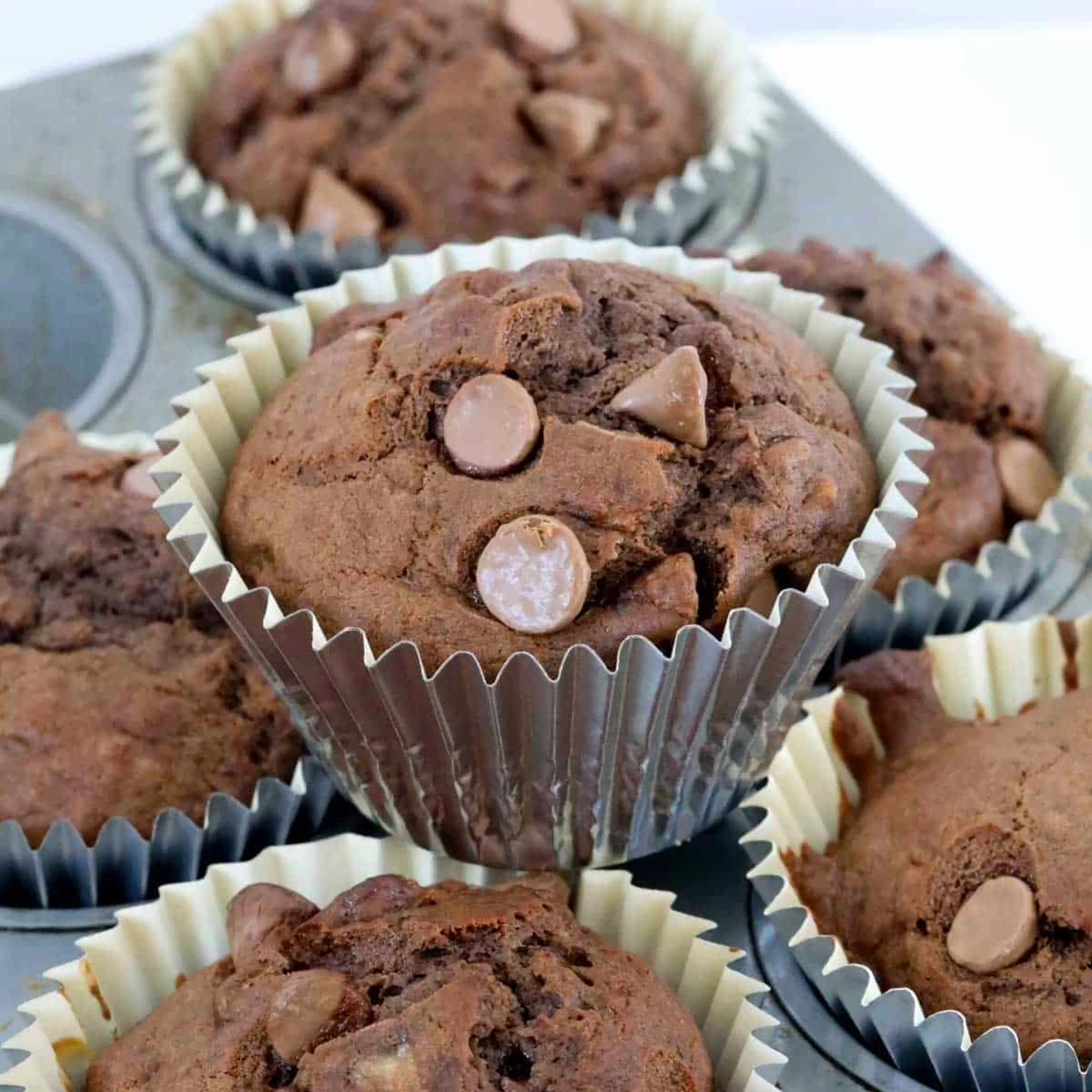 Healthy Chocolate Banana Muffins
