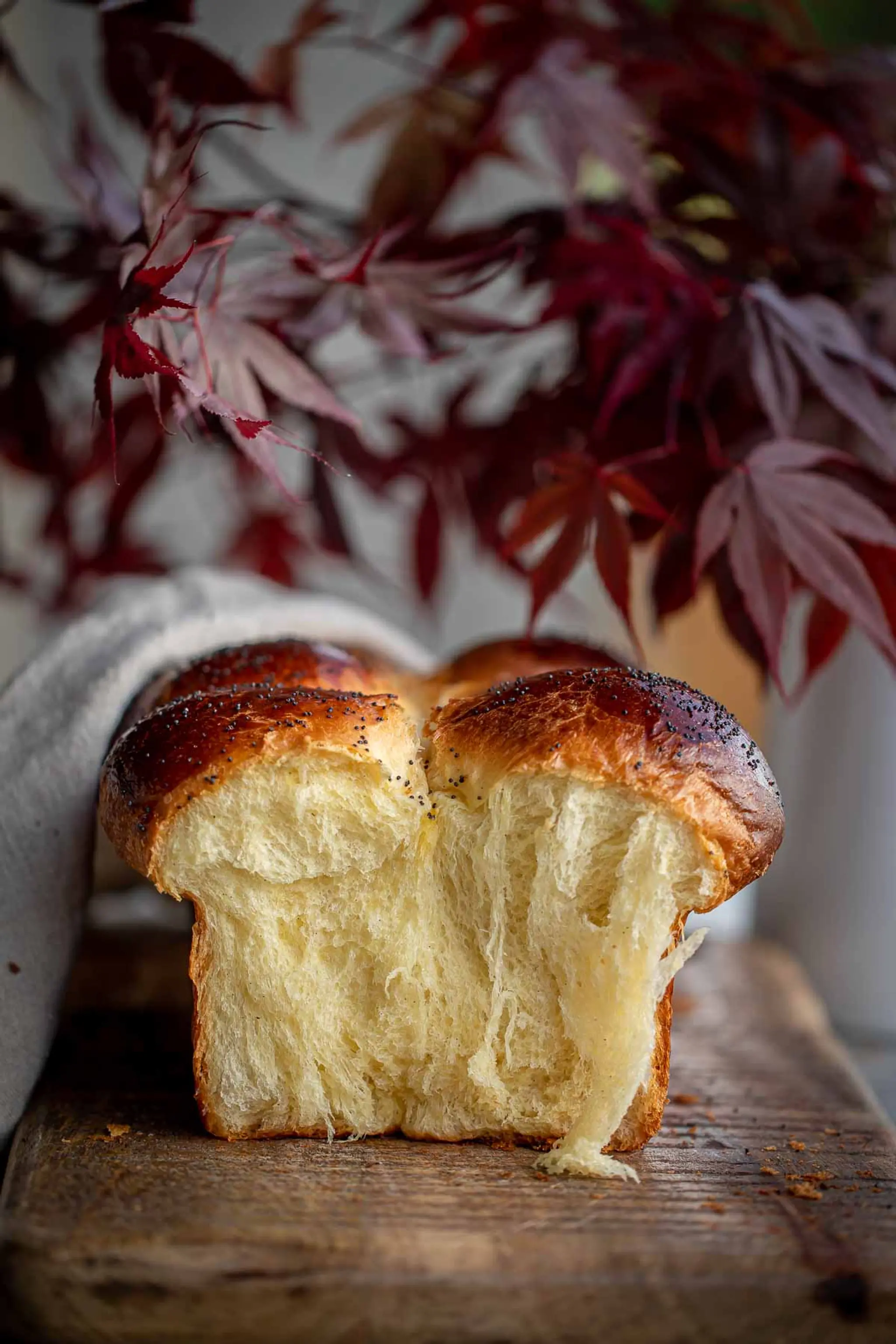 Brioche Bread