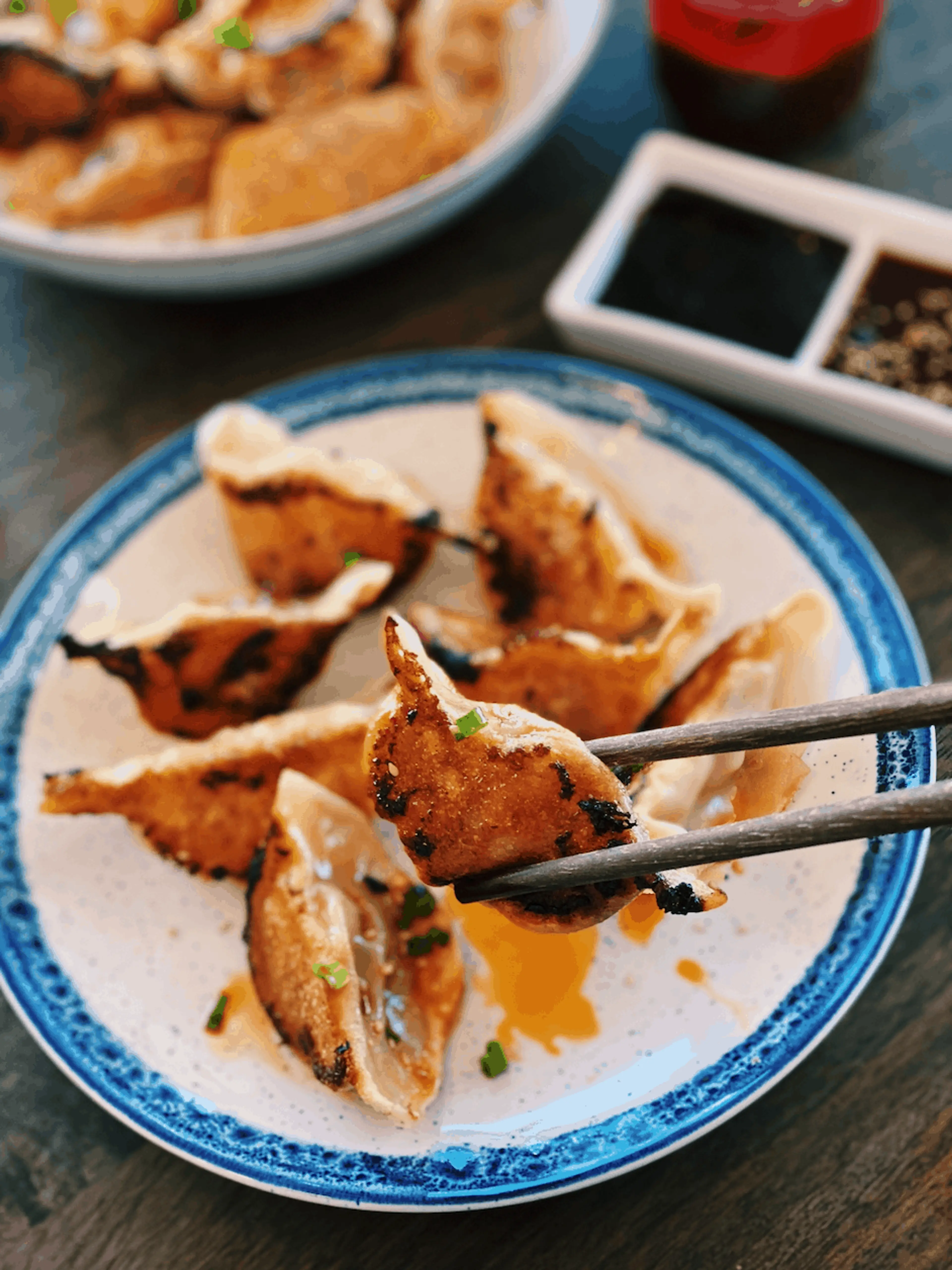 Chicken Dumplings