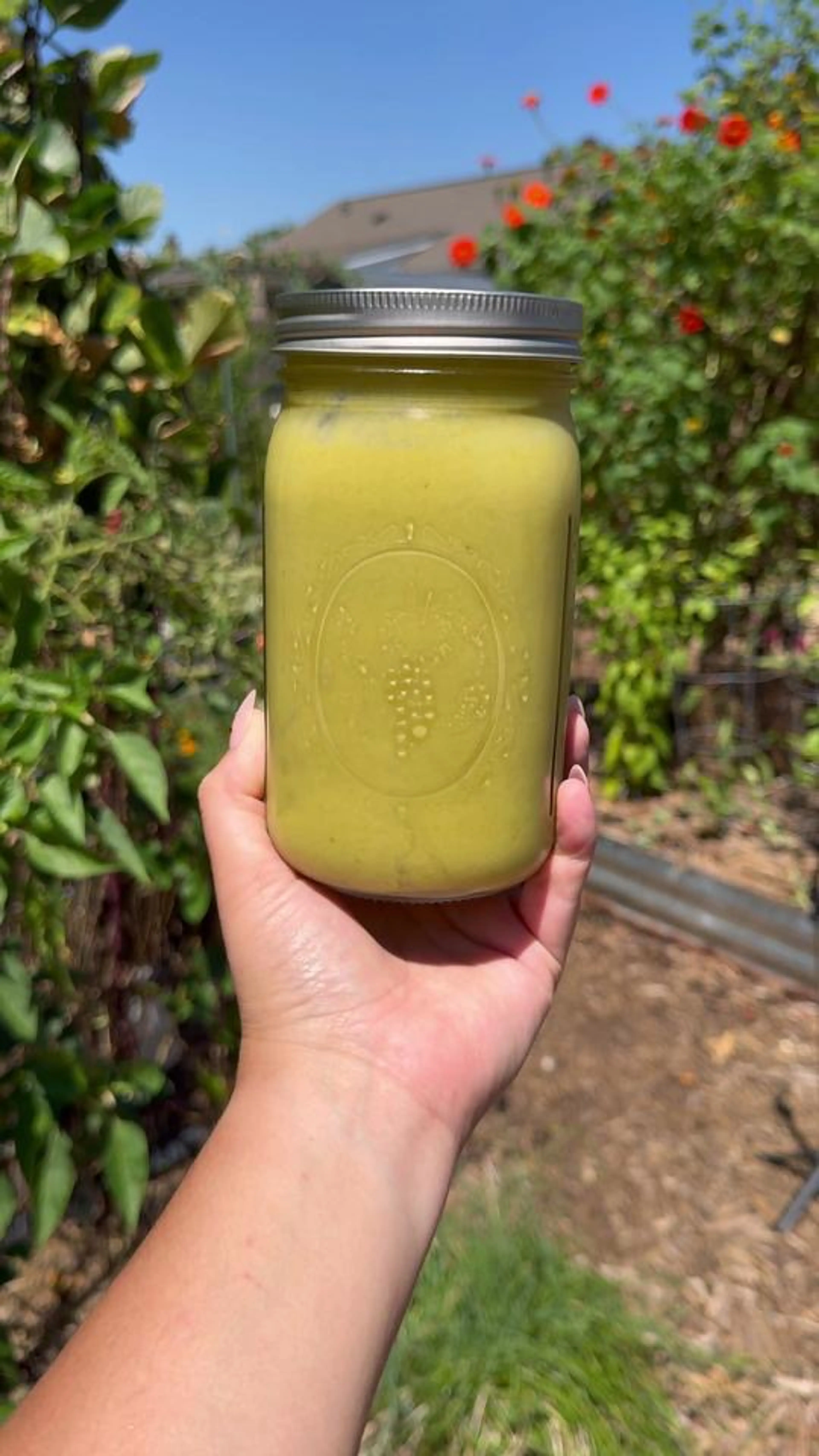 Green Jalapeno Sauce