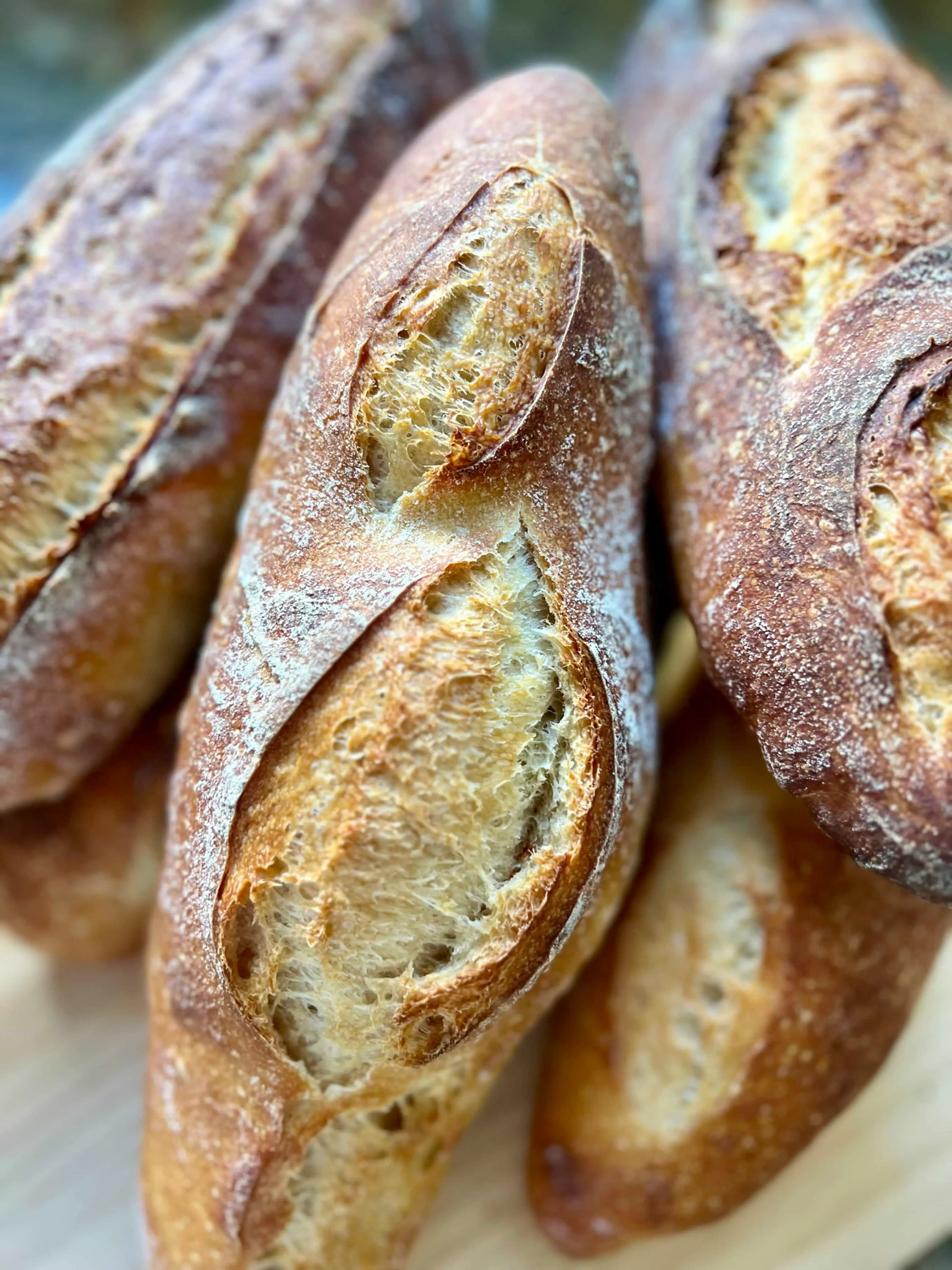Sourdough Demi-Baguette Recipe
