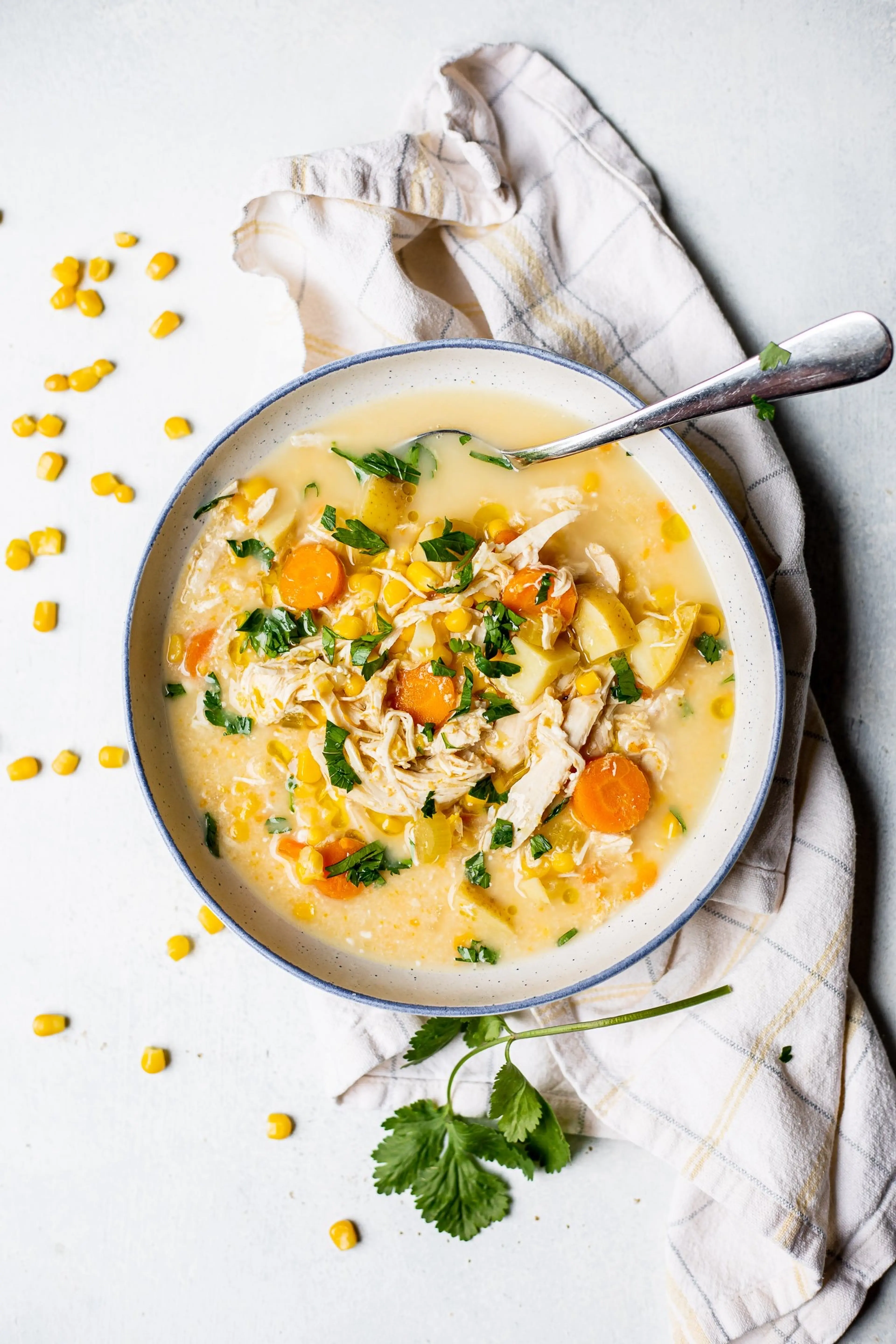 Chicken and Corn Soup