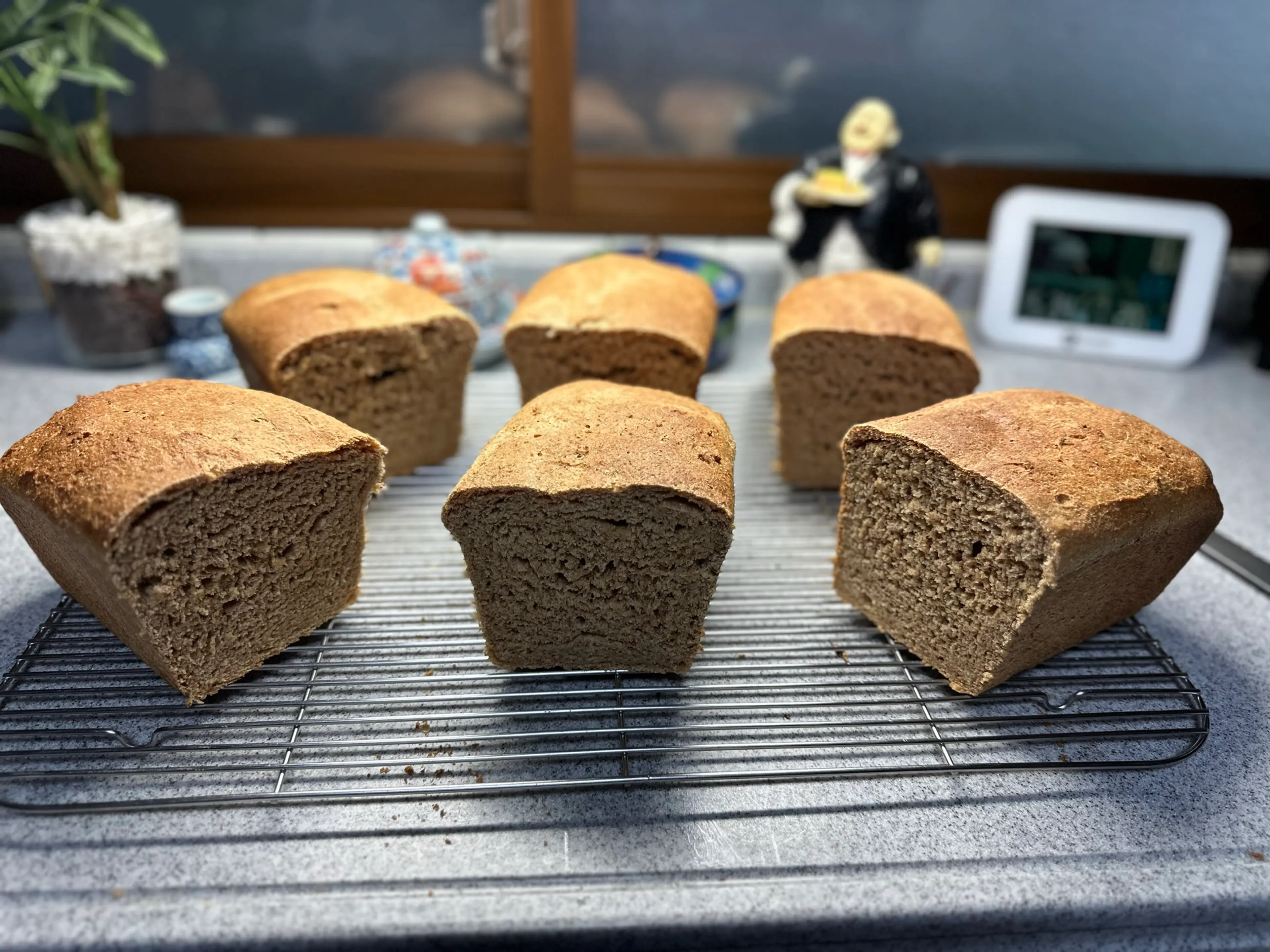 Lauri’s whole wheat bread