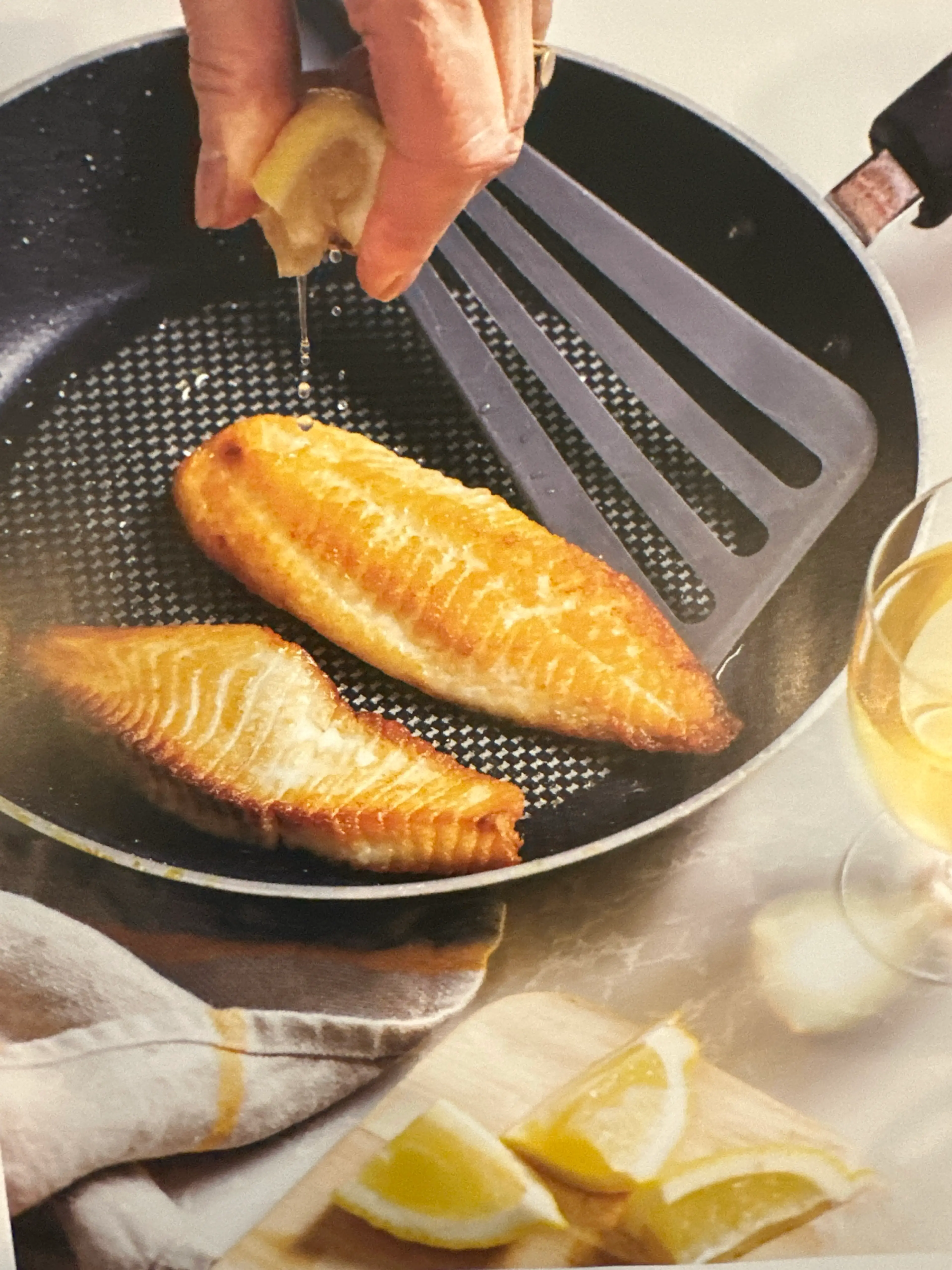 golden tilapia