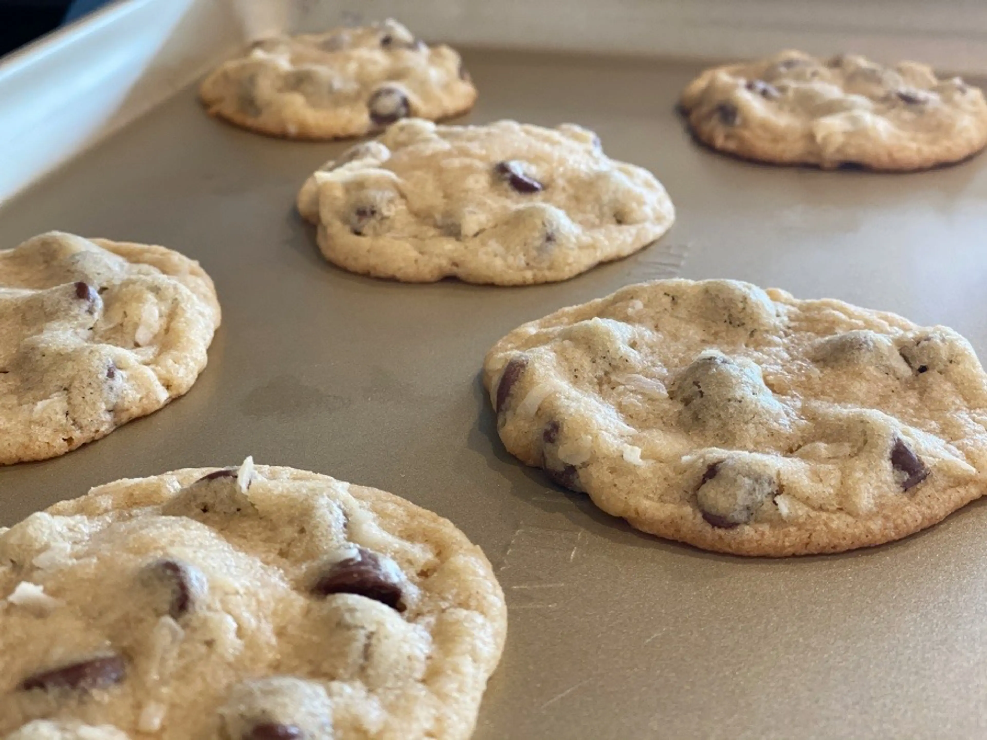 Chewy Chocolate Chip Coconut Cookies