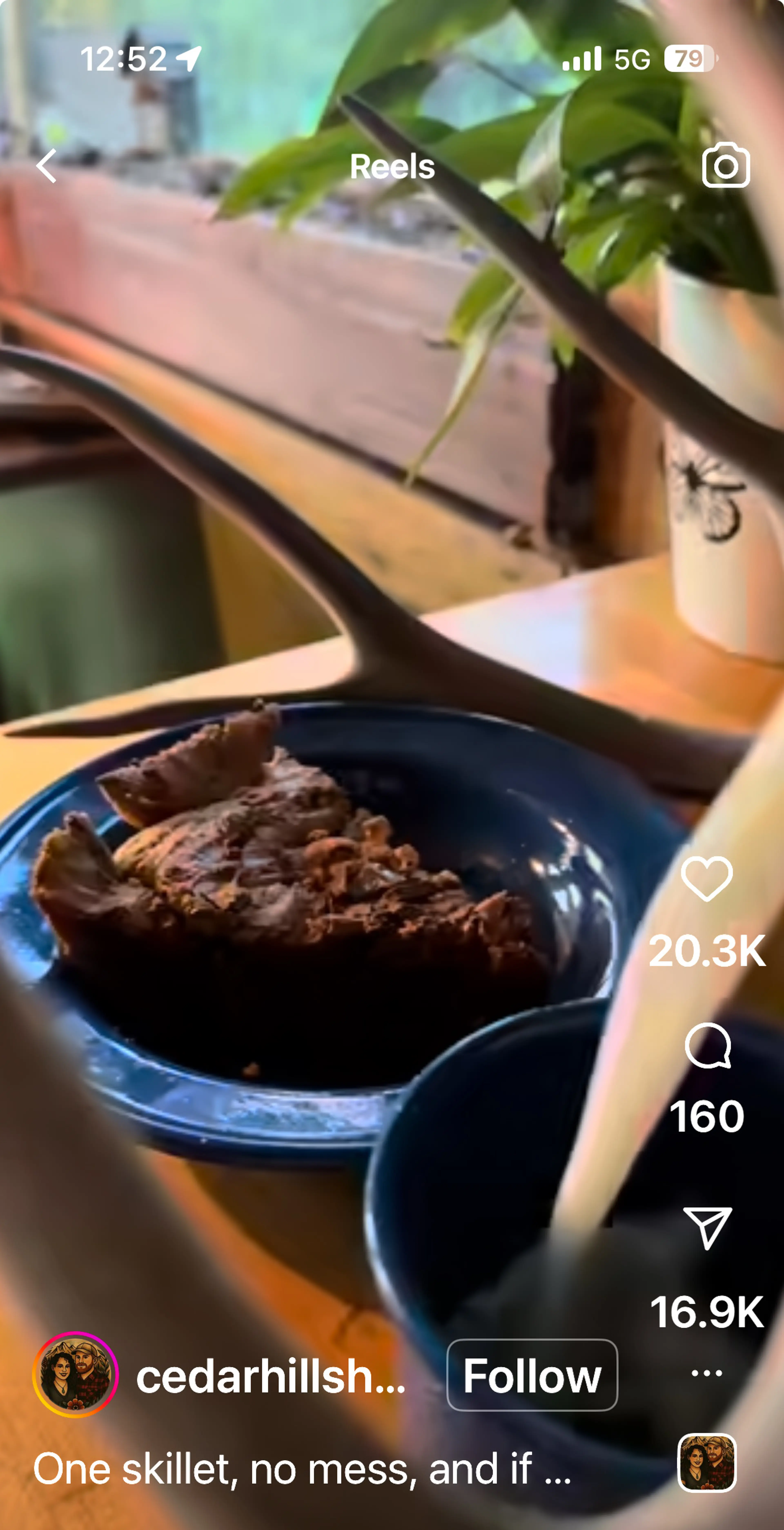 Cast-iron skillet chocolate chip cookie