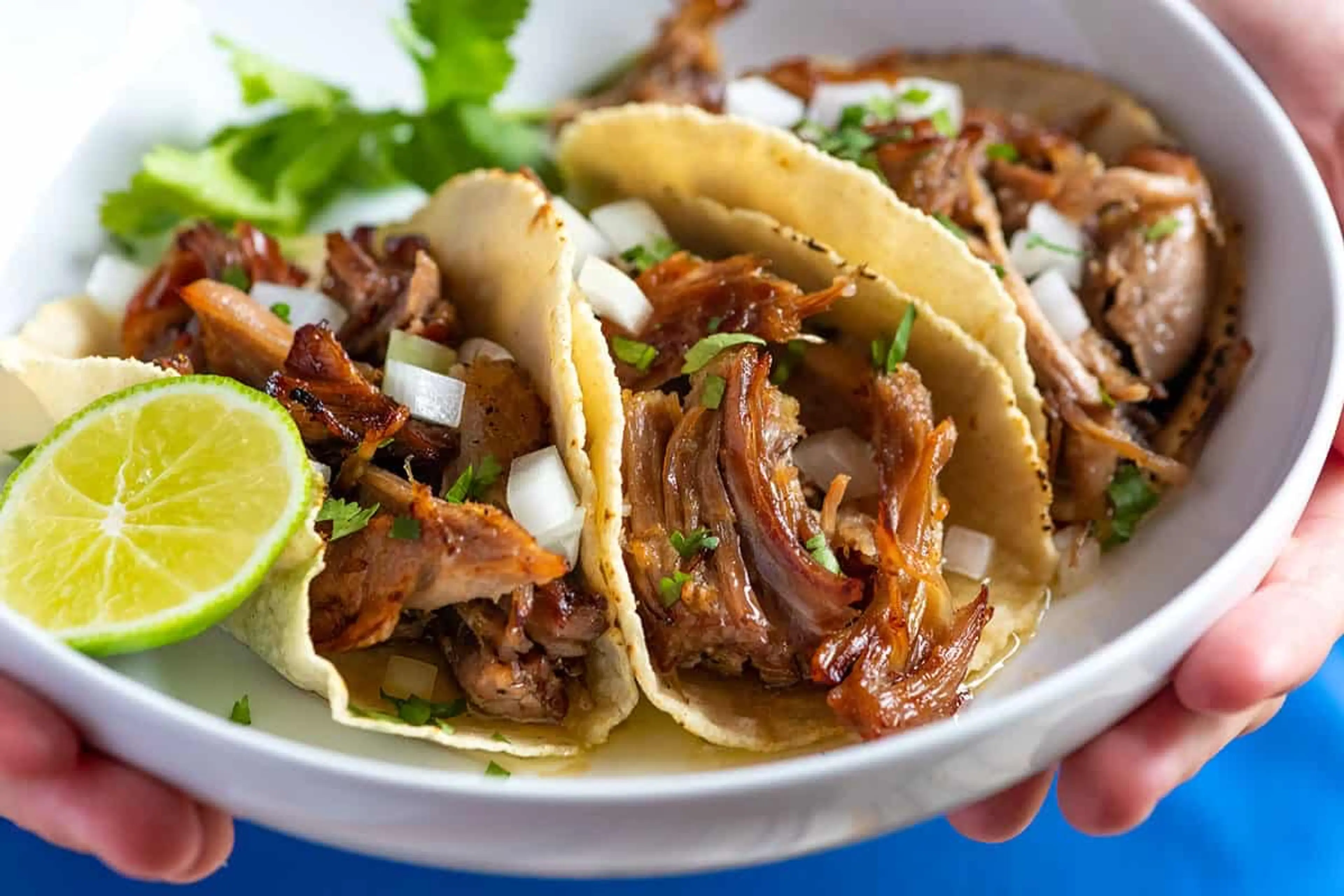 Dad’s Carnitas