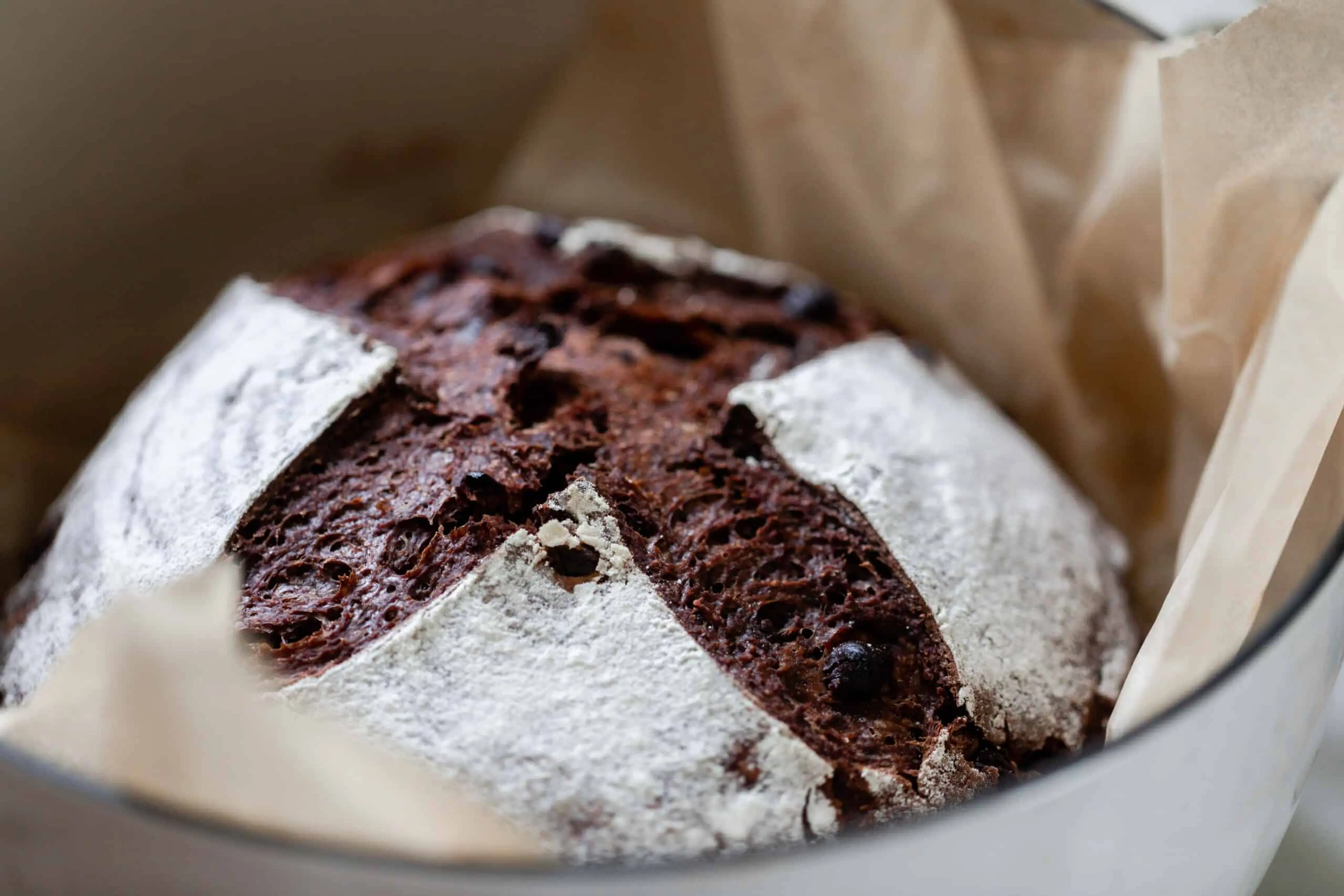 Chocolate Sourdough Bread