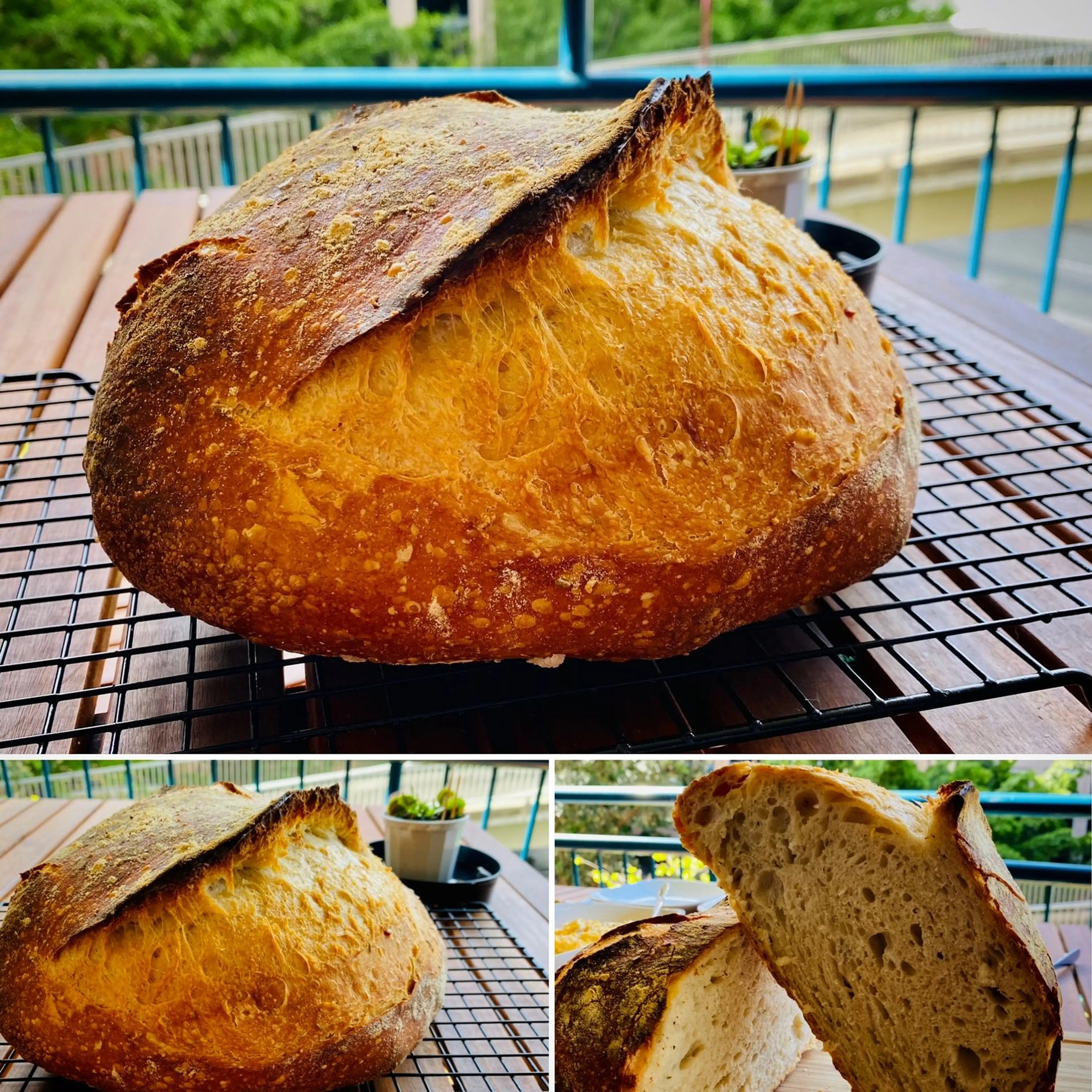 Euro Style No Knead Bread