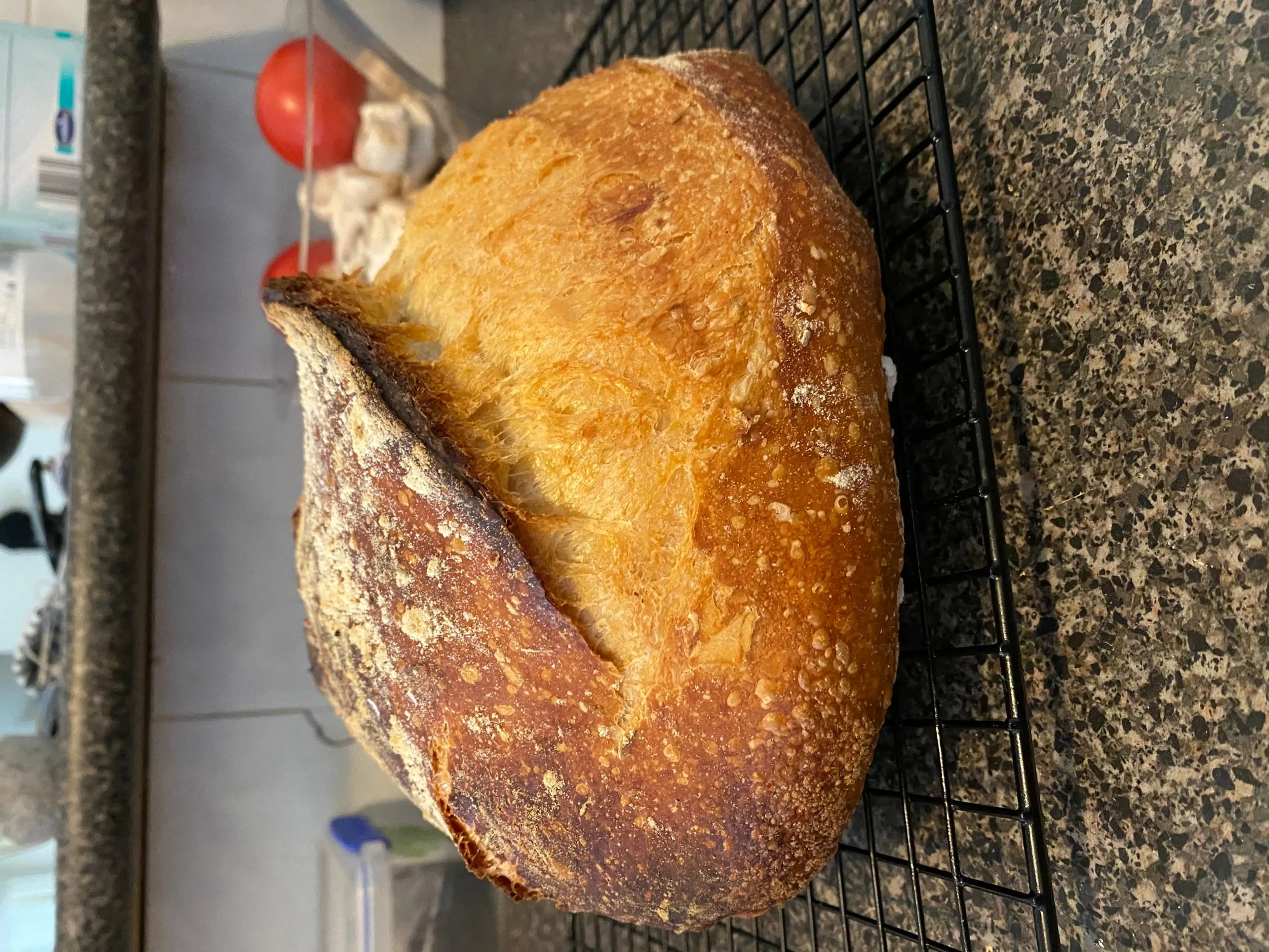 Euro Style No Knead Bread