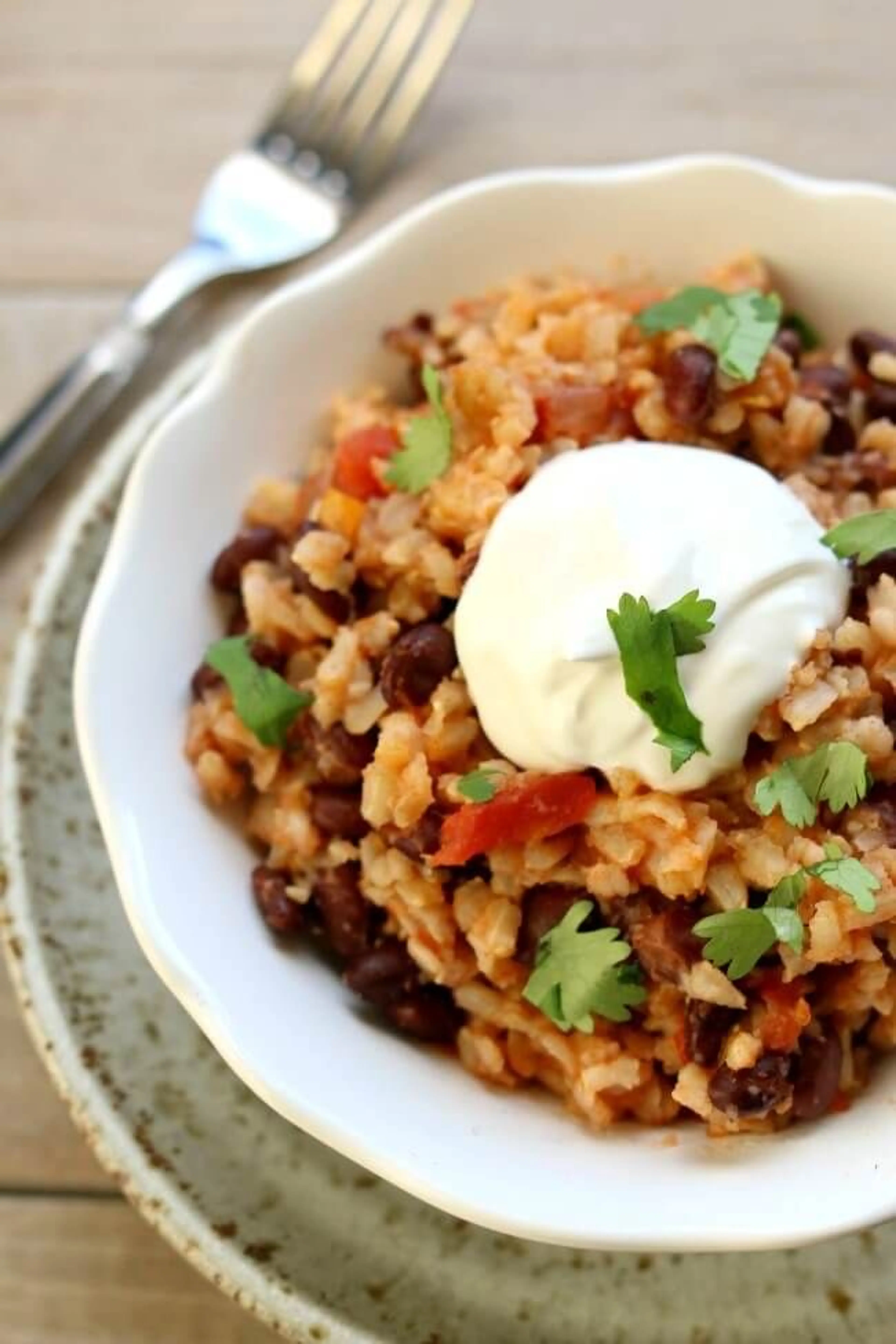 Crockpot Mexican Back beans & rice