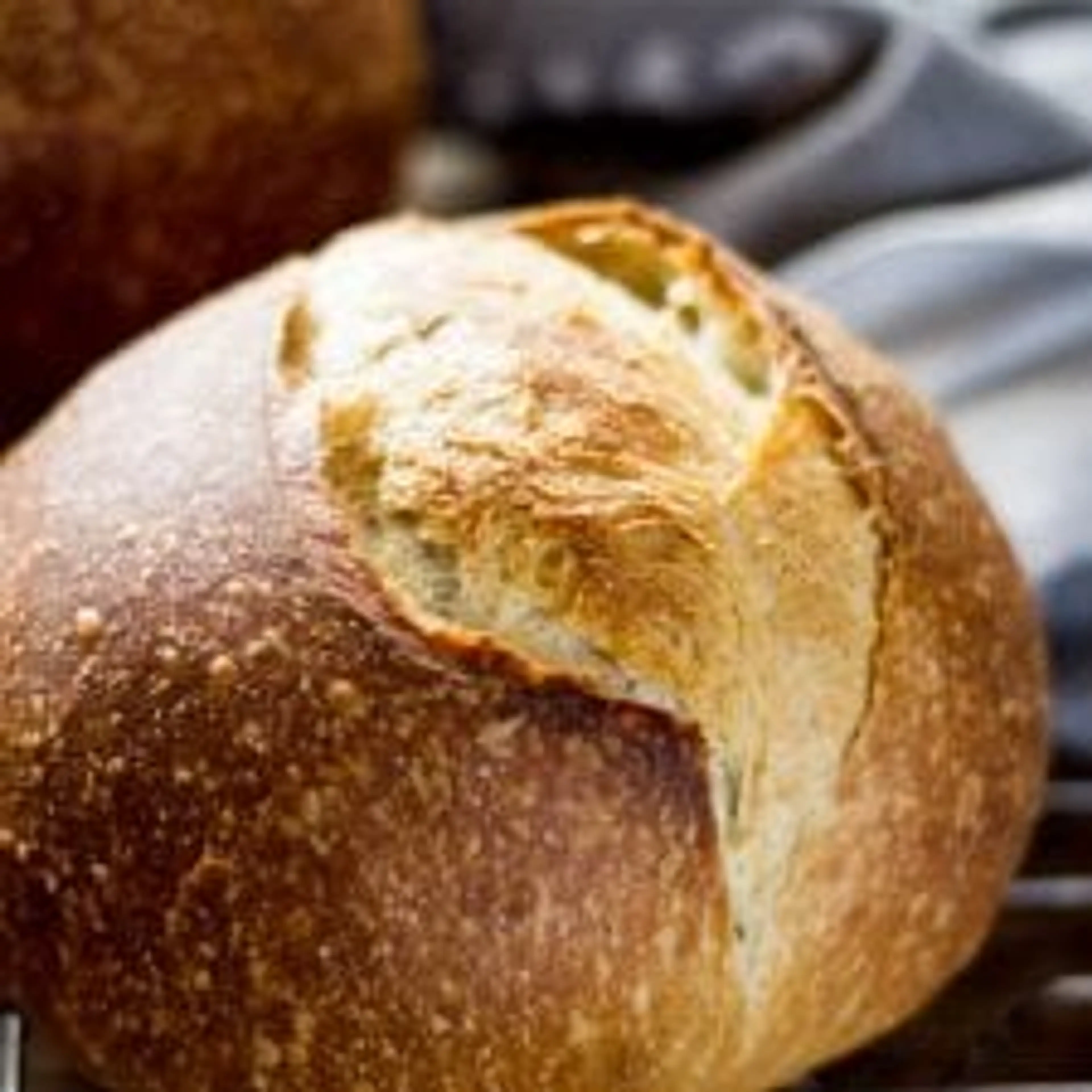 Sourdough Bread: A Beginner's Guide