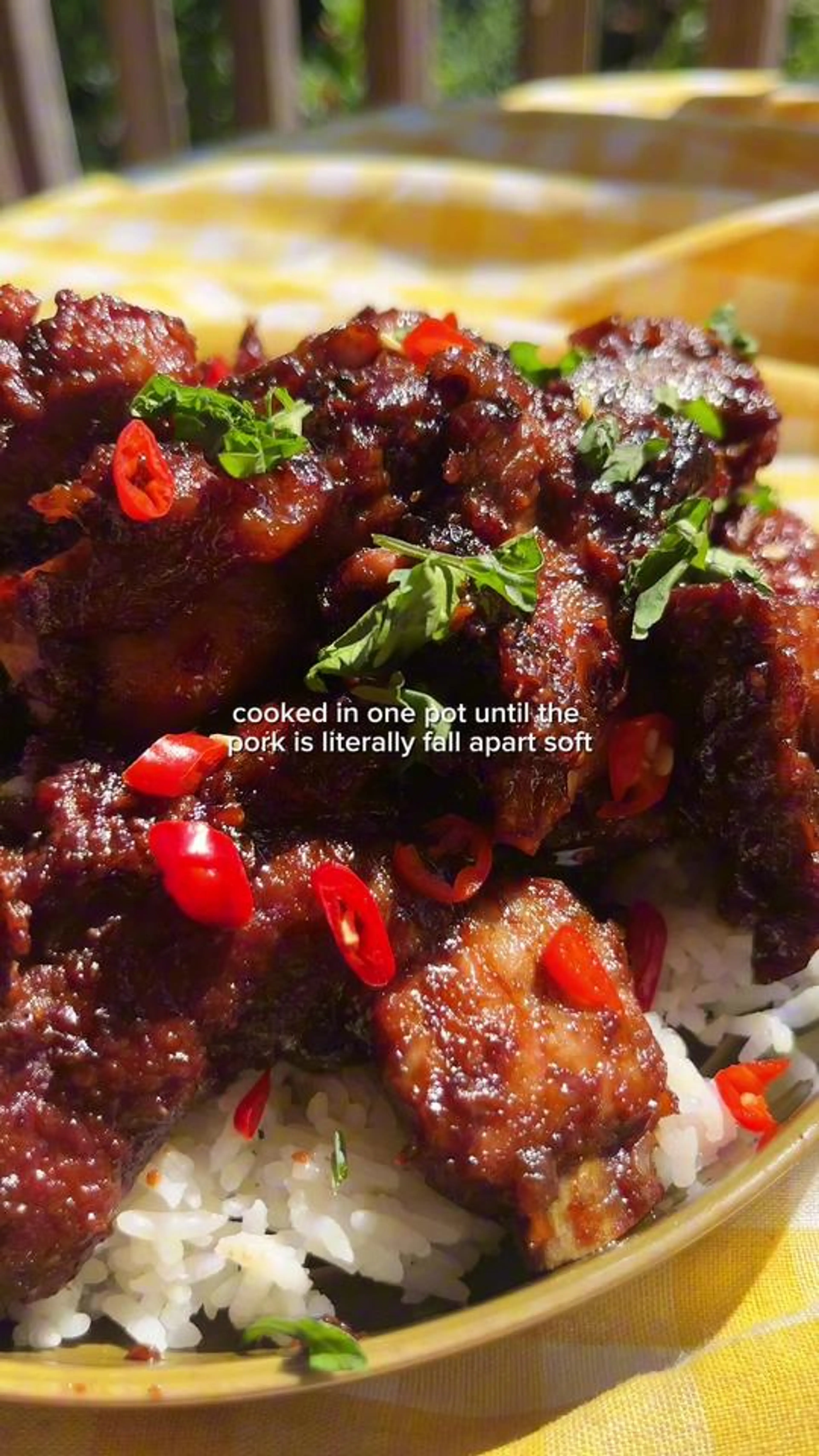 Vietnamese Caramelized Pork