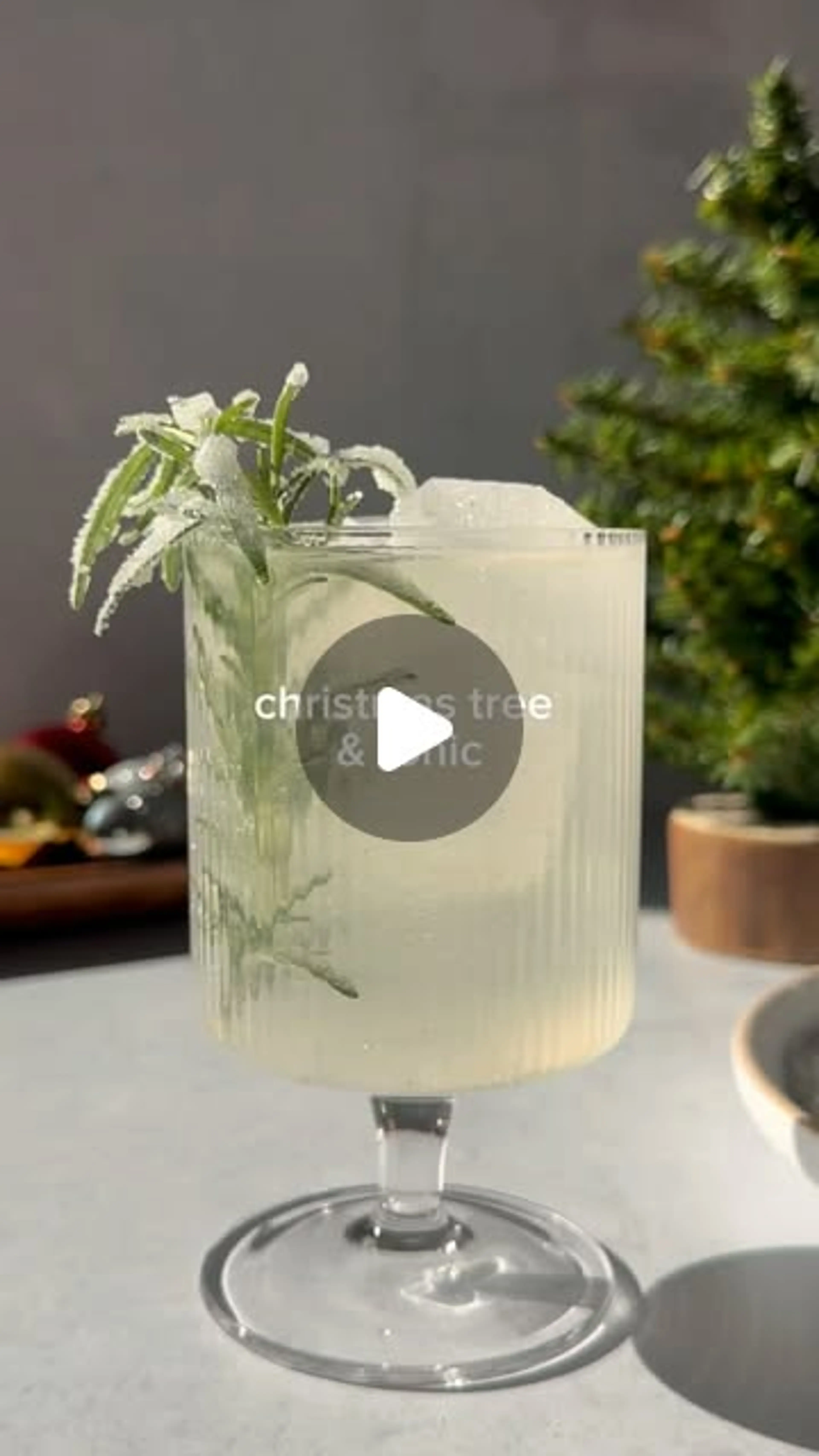 Christmas Tree & Tonic