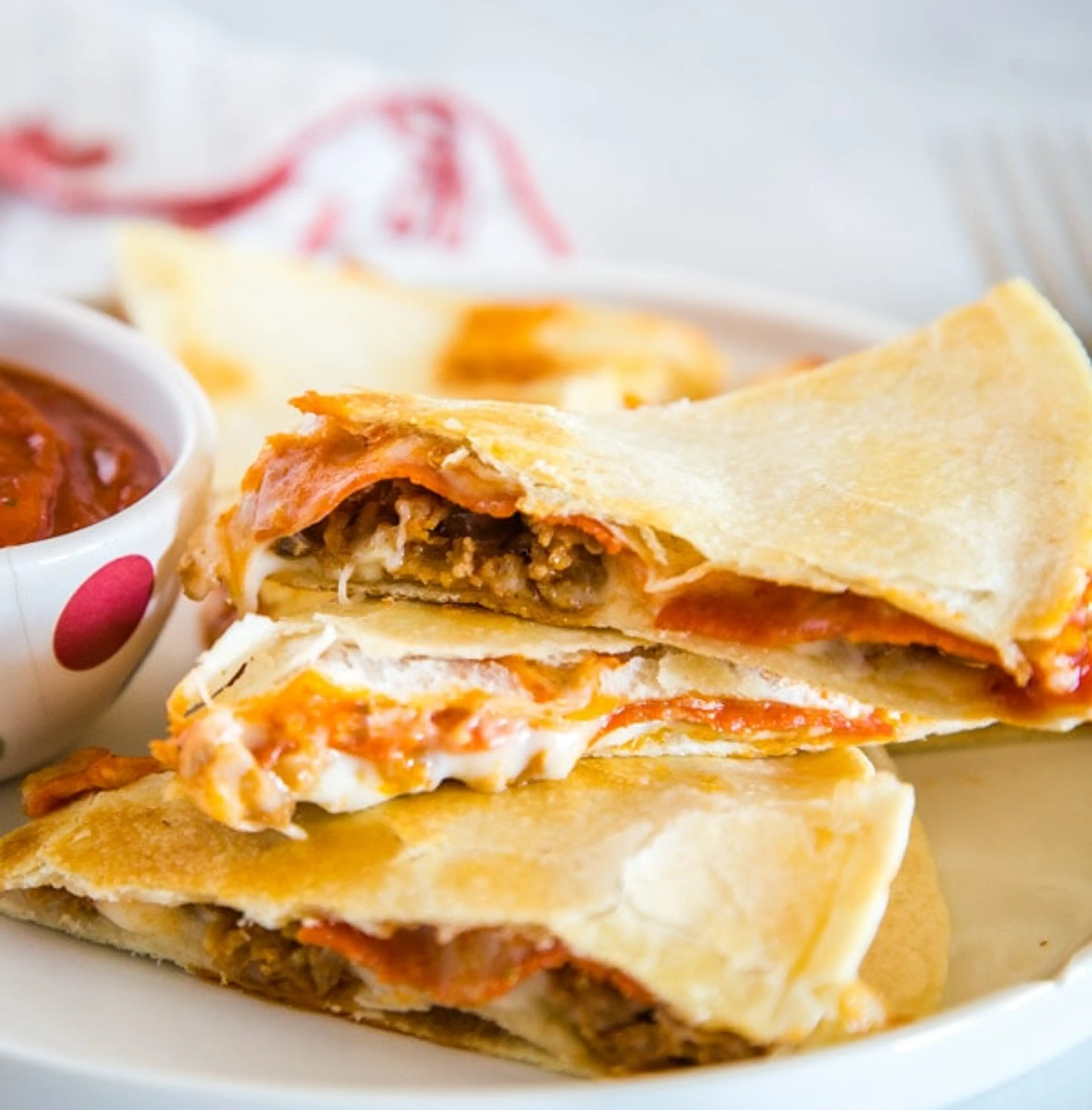 Pizza Quesadilla