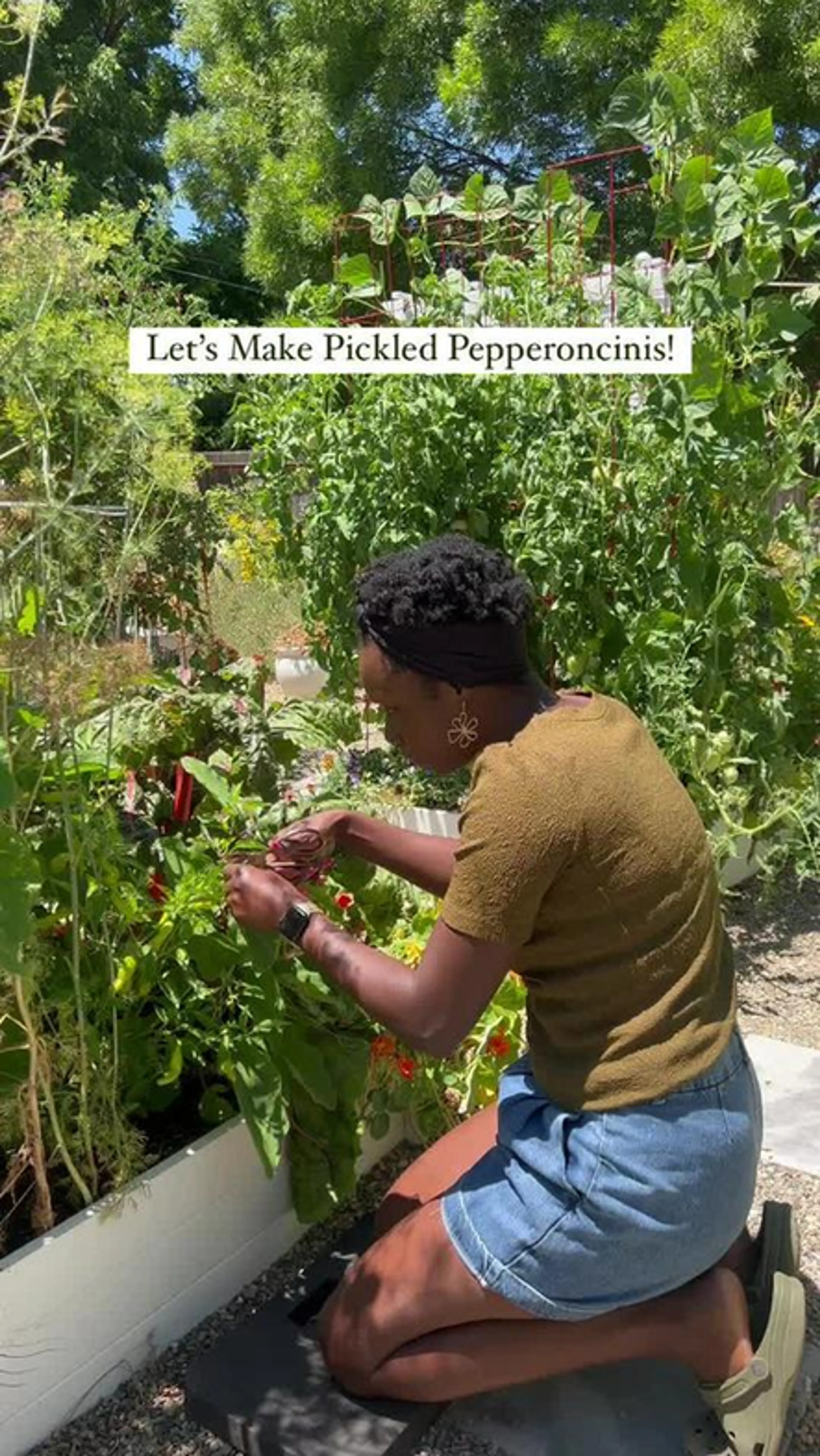 Pickling Pepperoncini