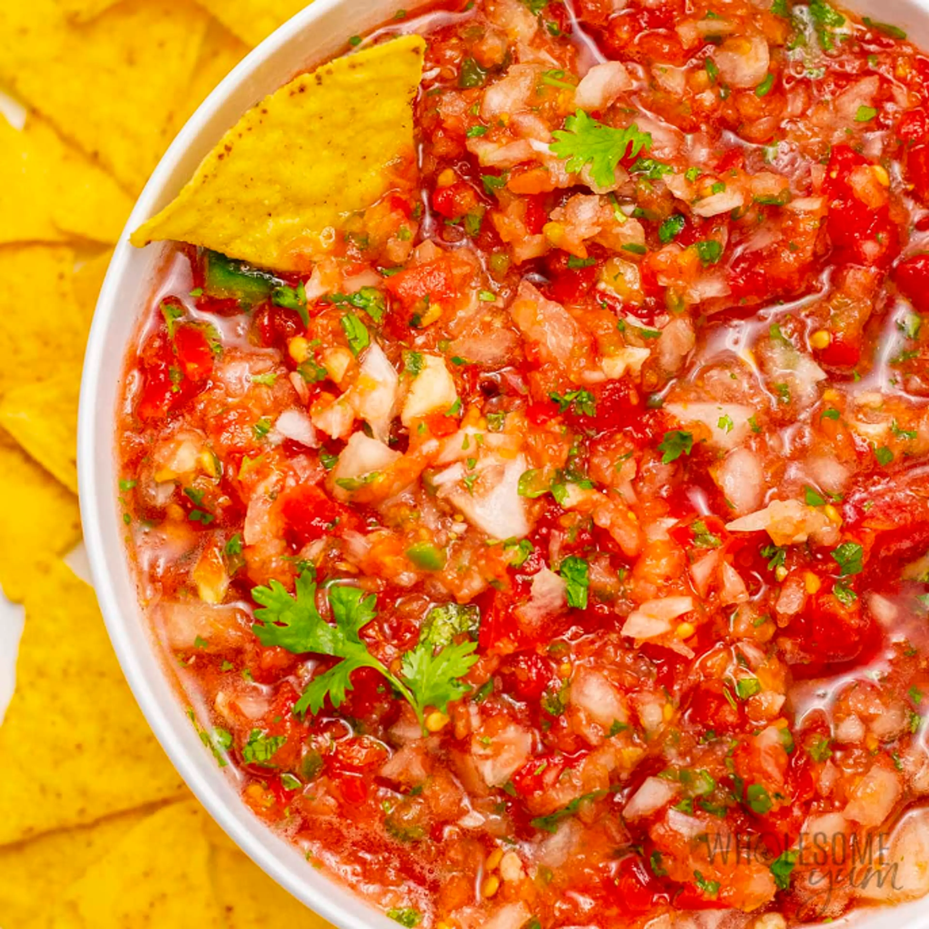 Fresh Garden Salsa