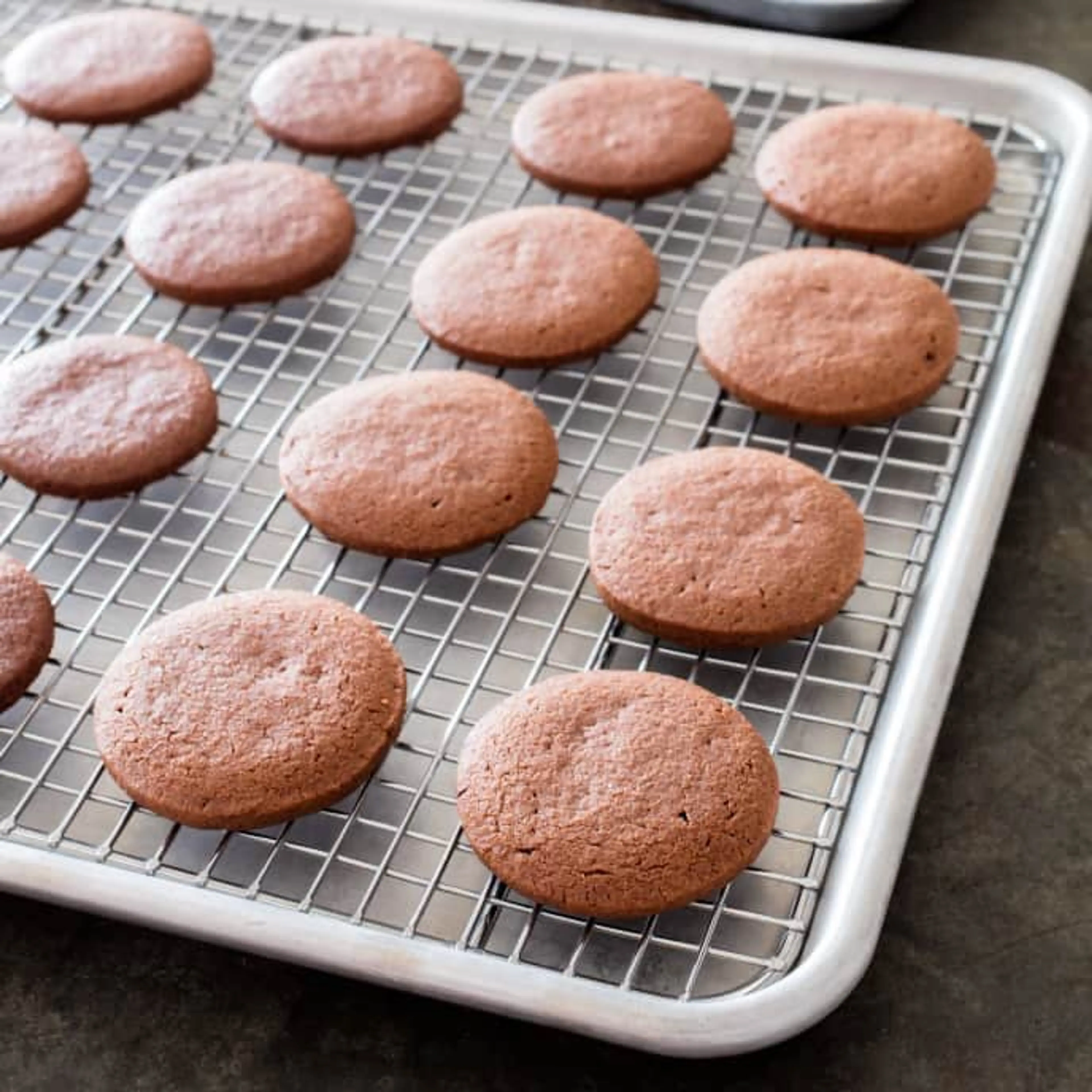 Chocolate Butter Cookies (ATK)