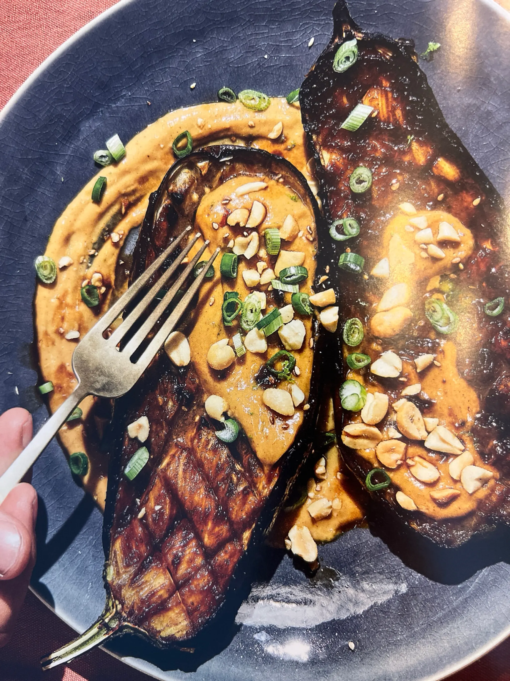 HOISIN-AUBERGINES MET PIKANTE PINDASAUS