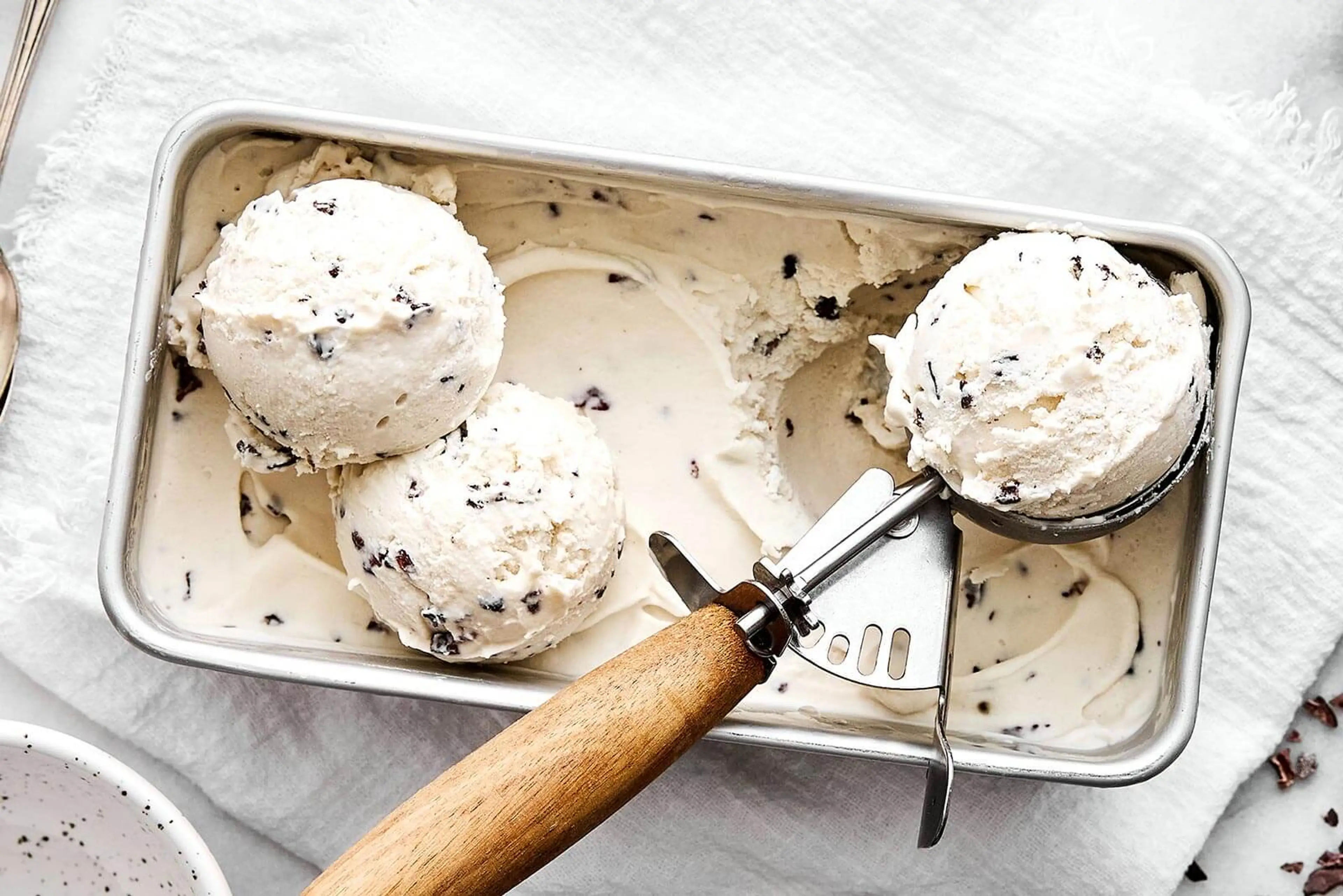 Vegan Cacao Nib Ice Cream