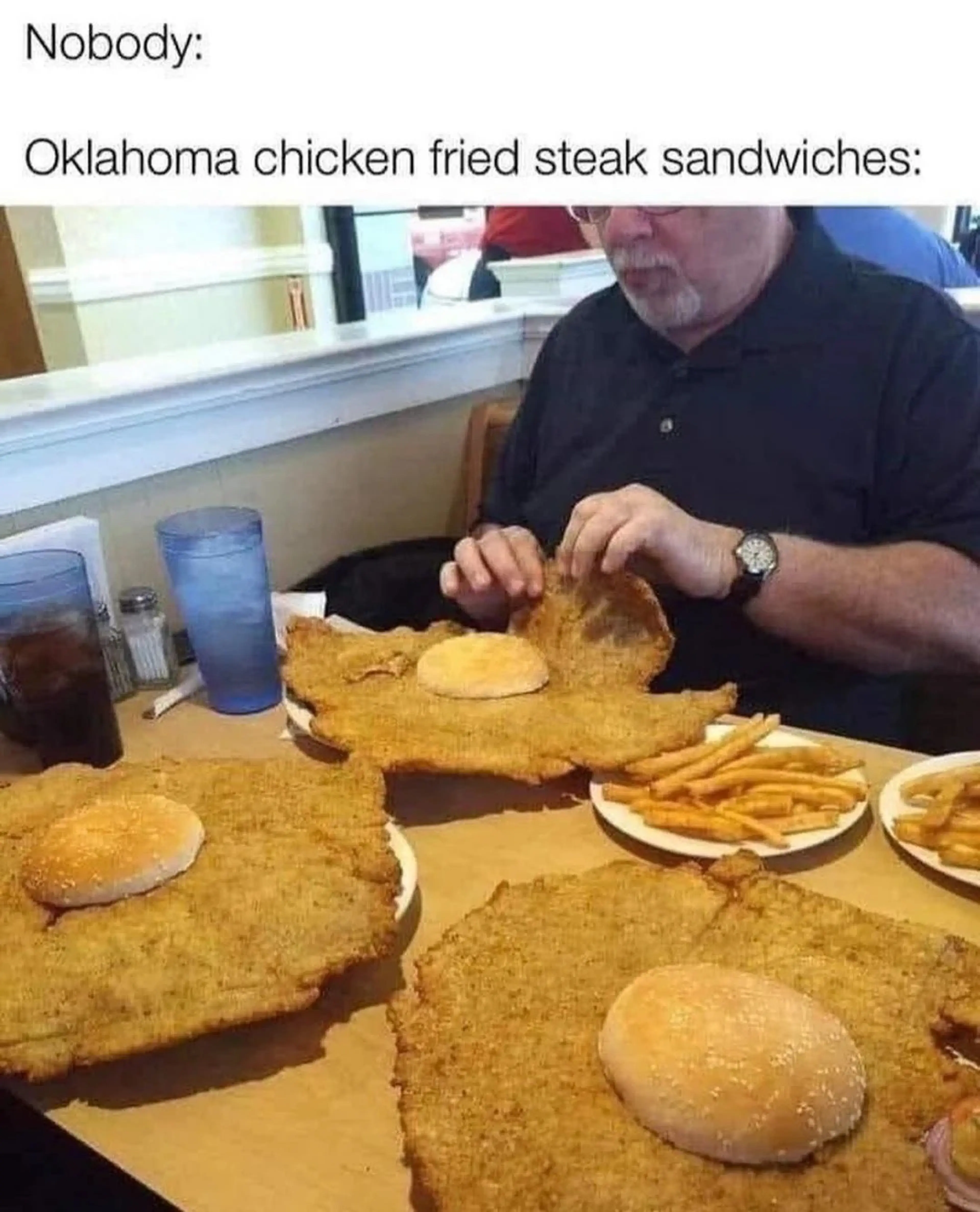Crispy Breaded Pork Cutlets