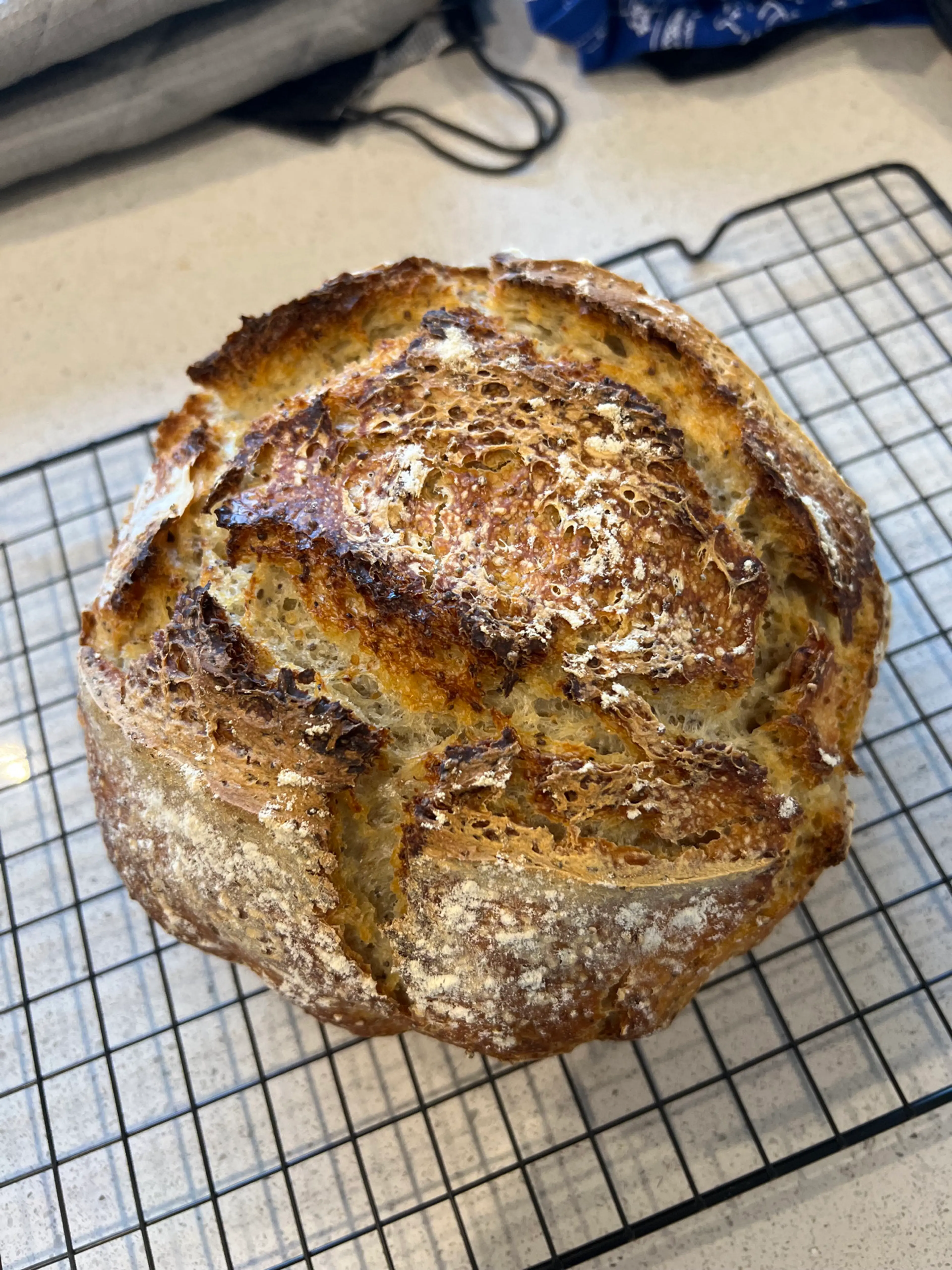Bread
