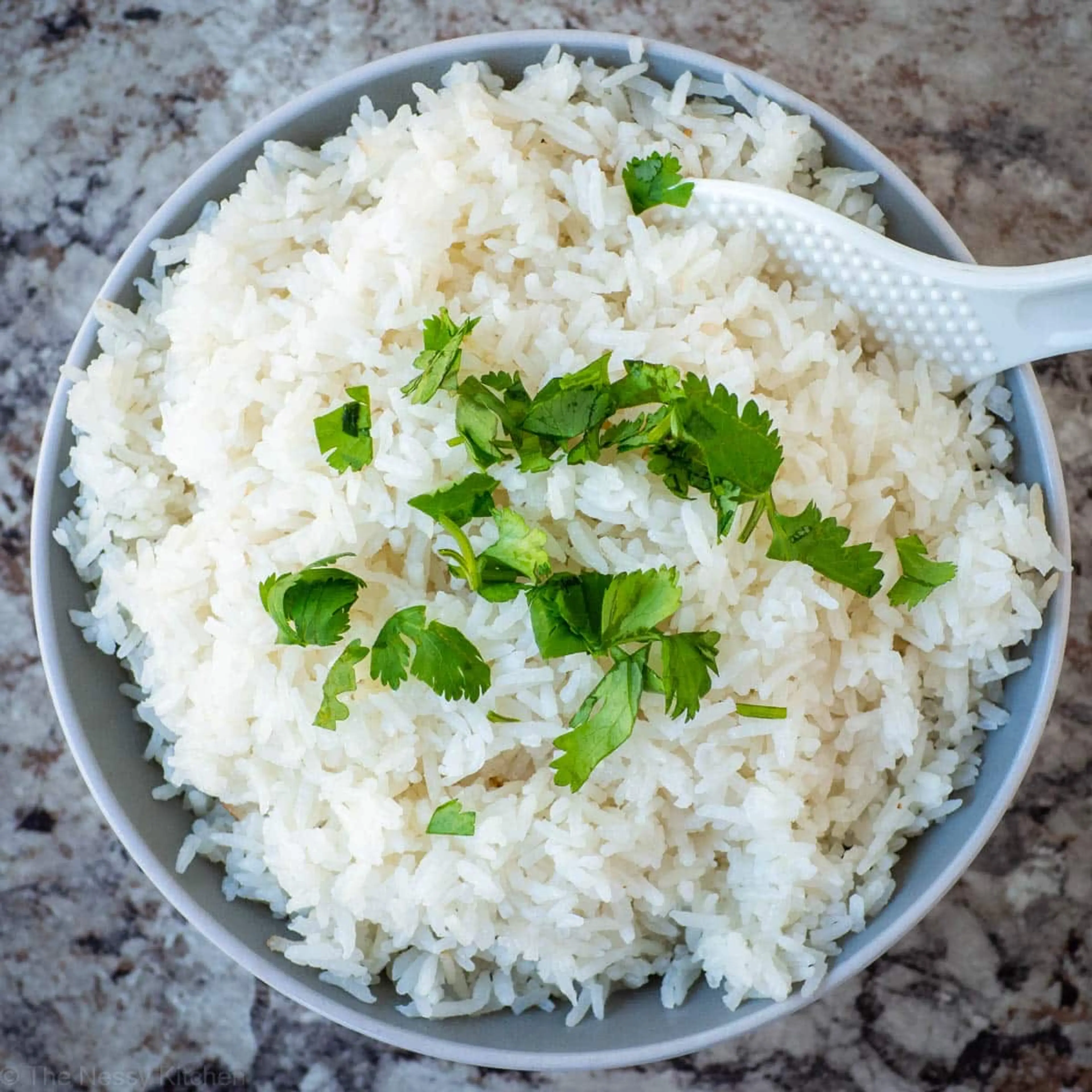Rice Cooker Coconut Rice