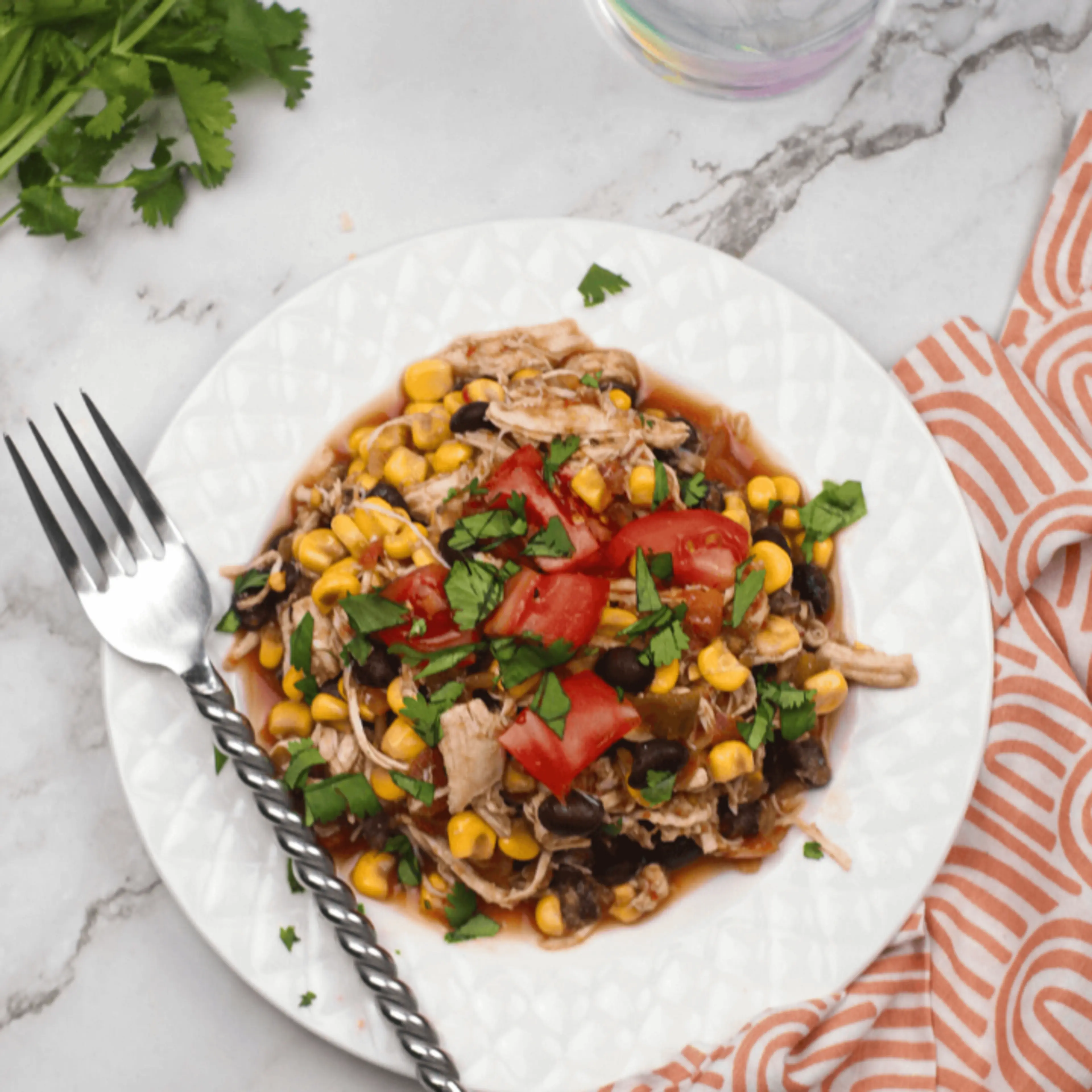 Weight Watchers Fiesta Chicken Recipe
