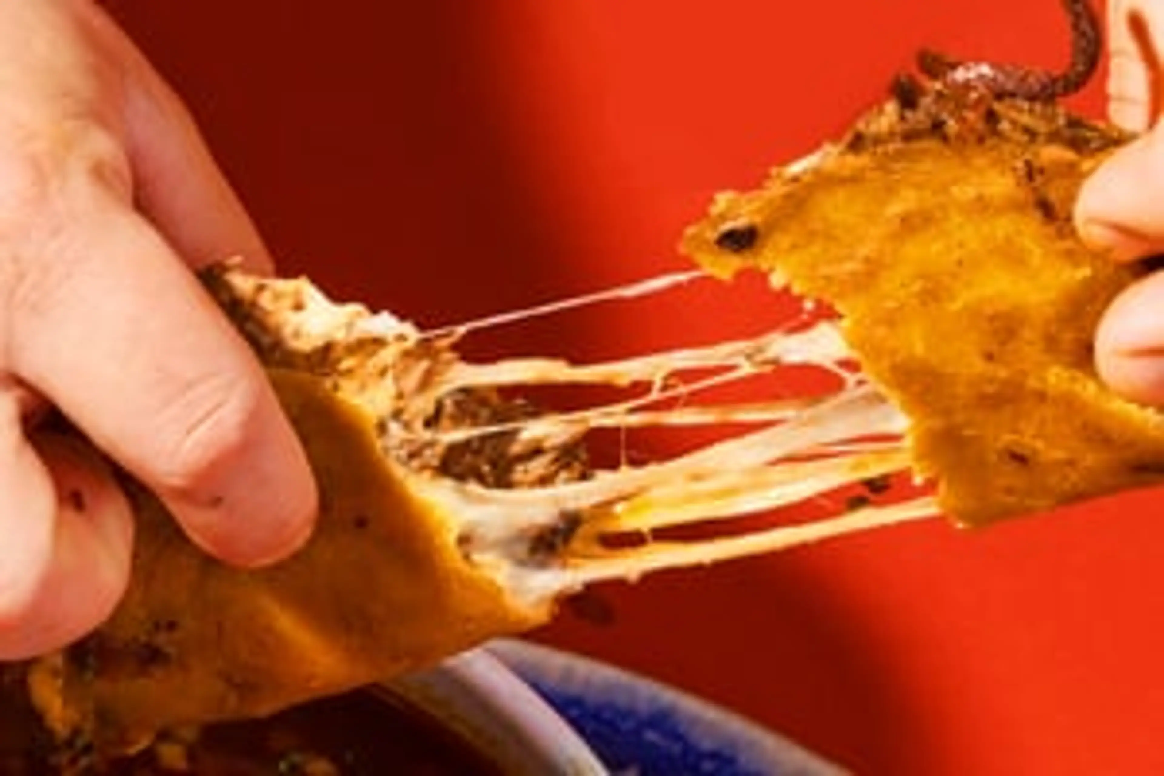 Tijuana-Style Beef Birria