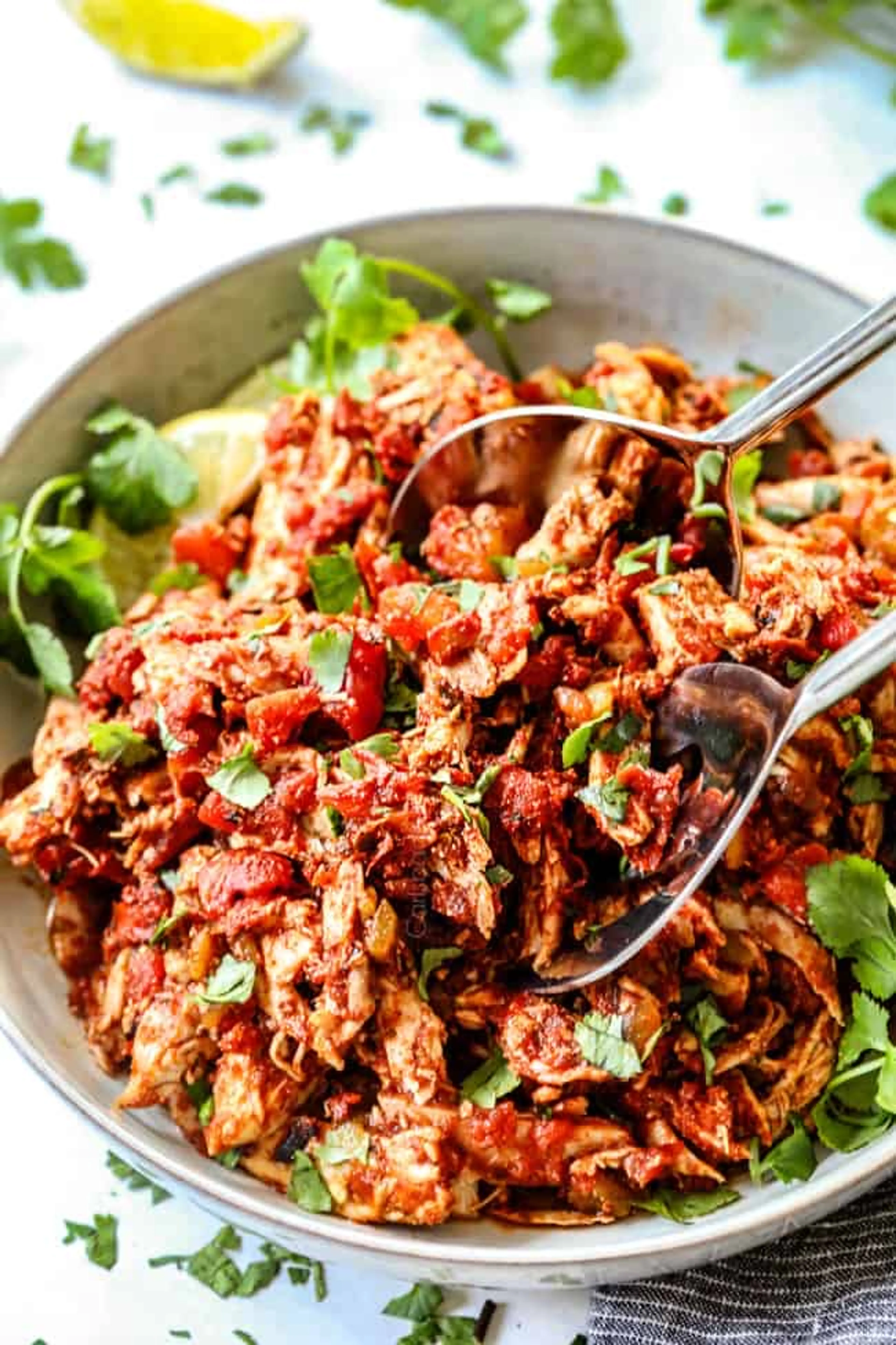 Easy Mexican Chicken Recipe