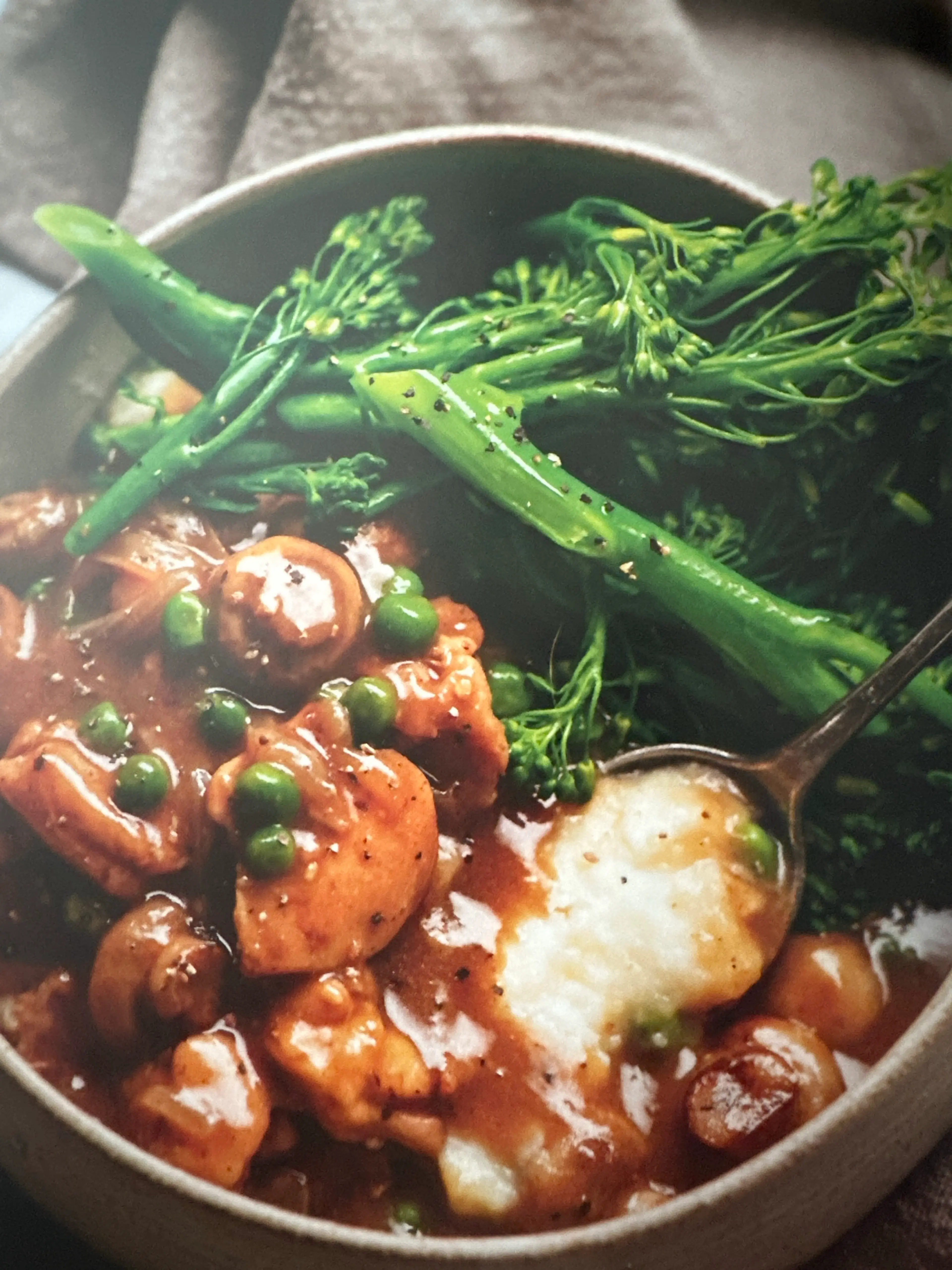 CHICKEN BITES WITH MUSHROOM GRAVY