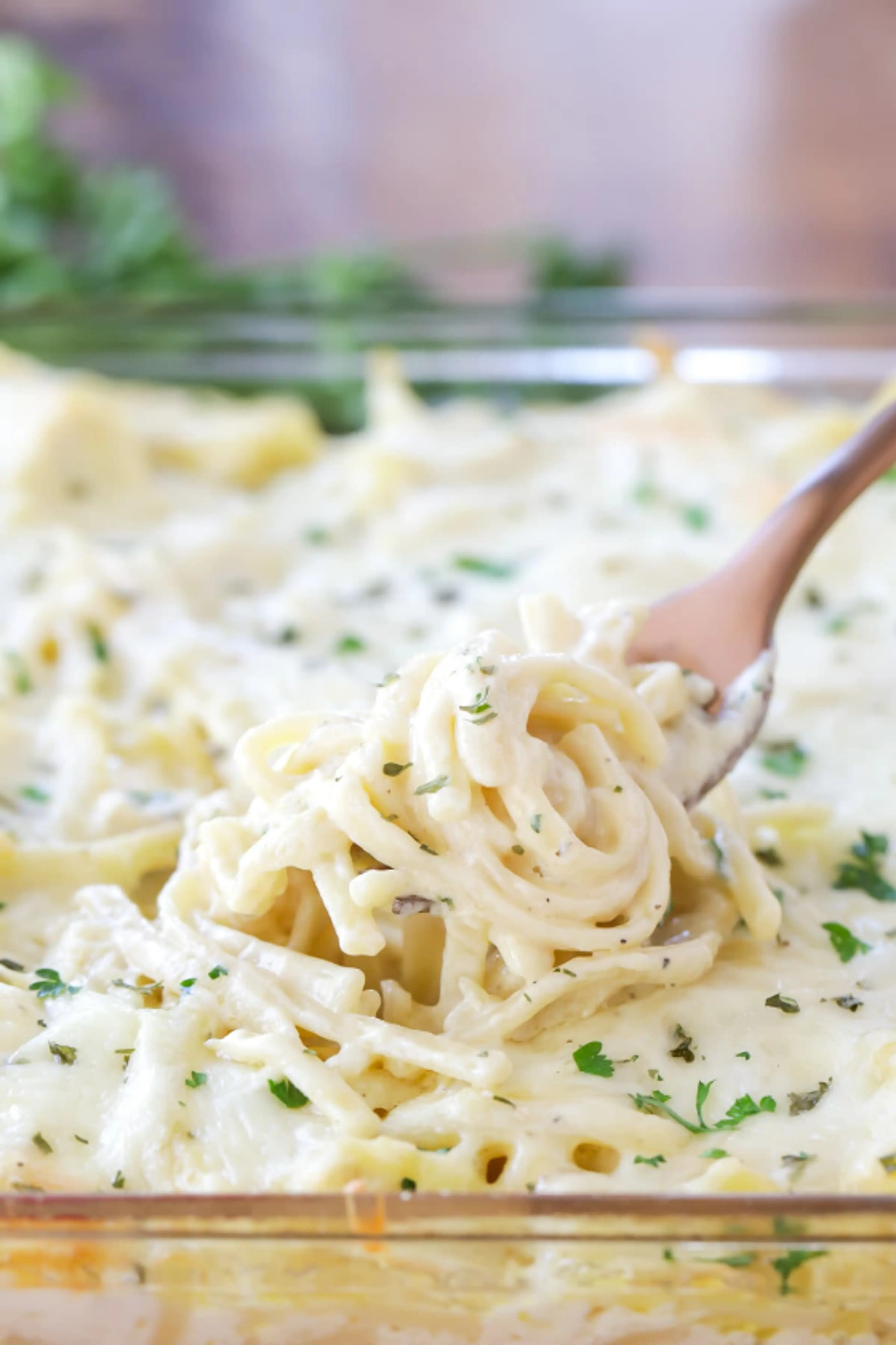 Chicken Tetrazzini Recipe