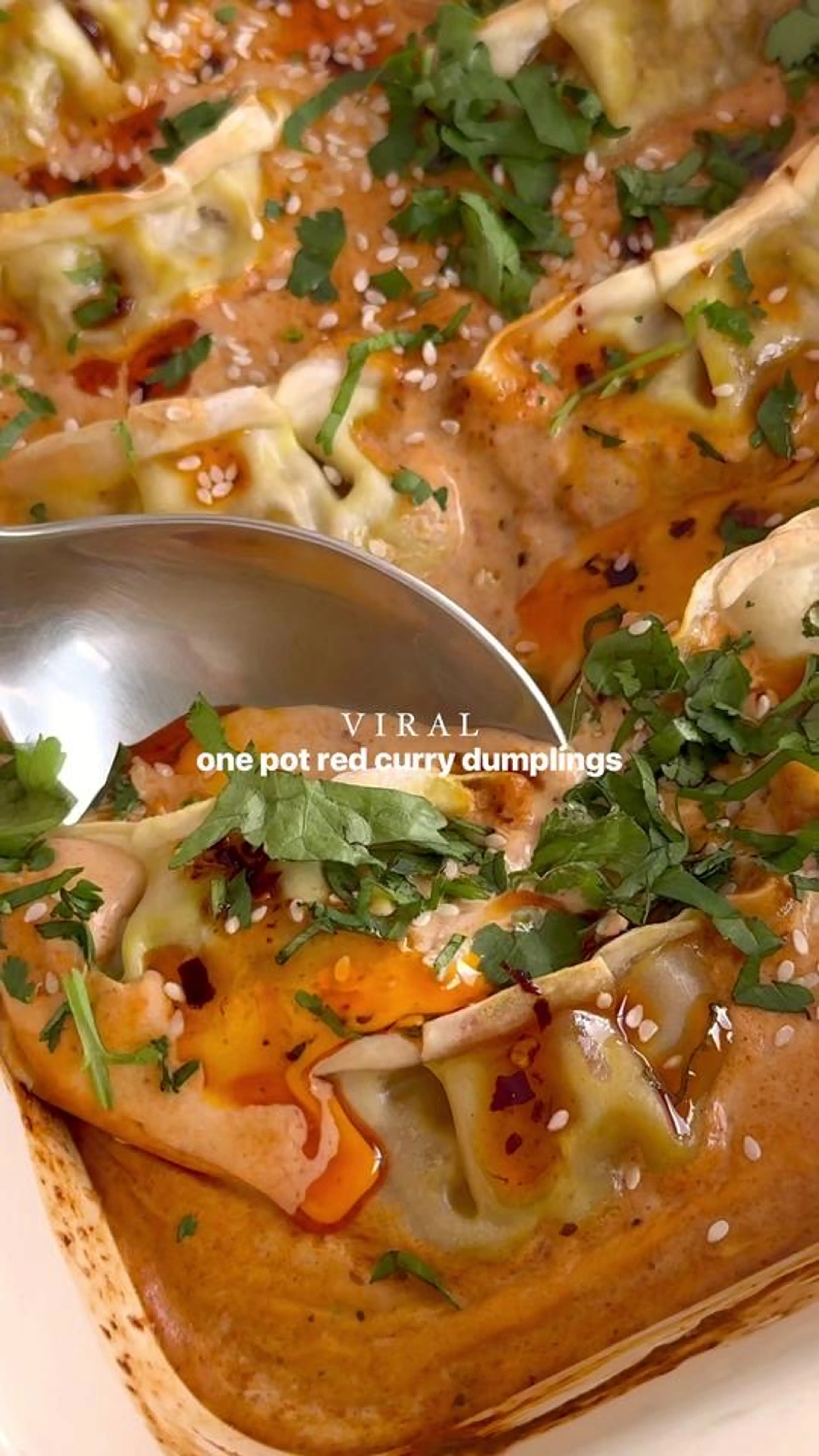 Viral One Pot Red Curry Dumpling