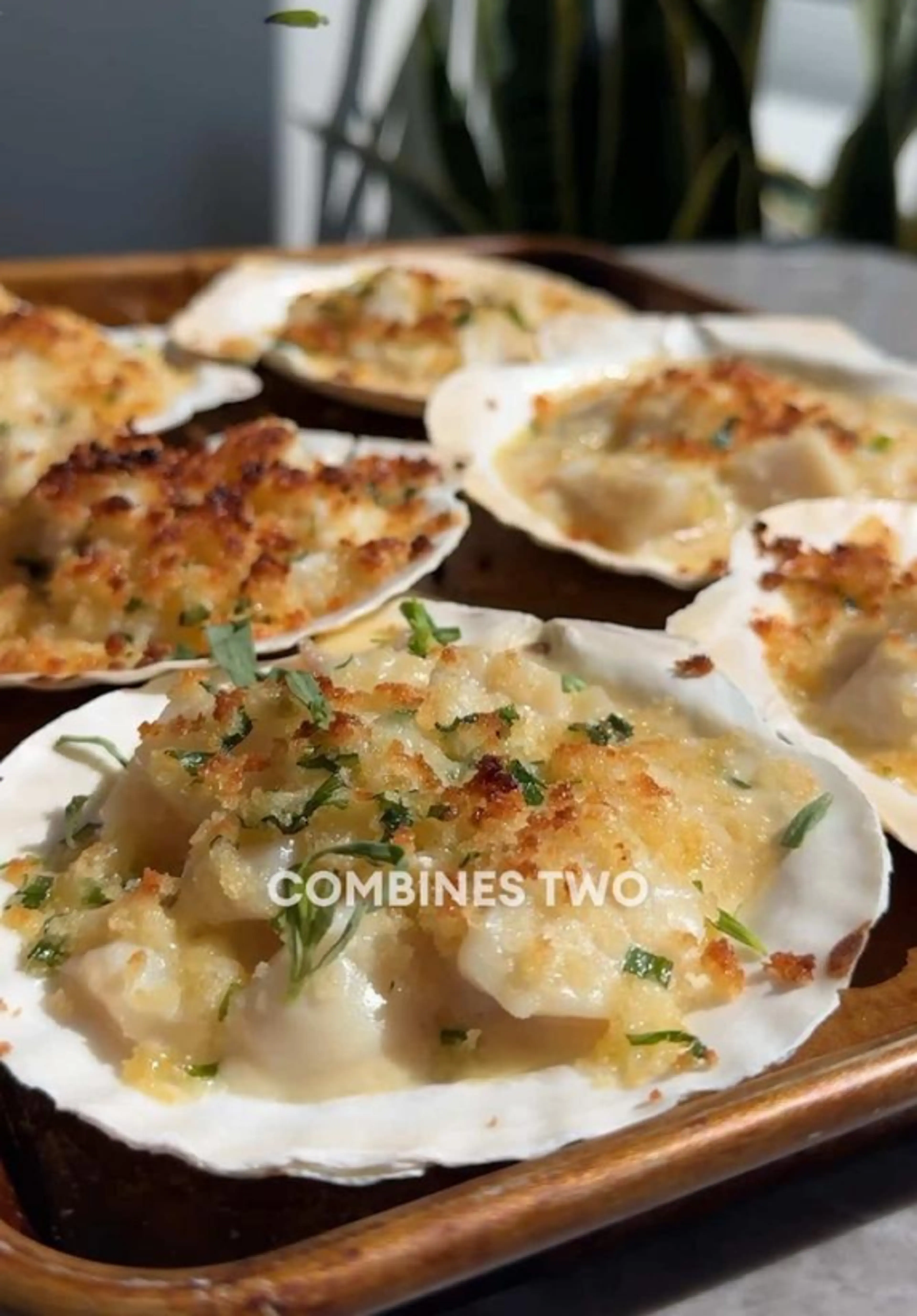Scallops AuGratin