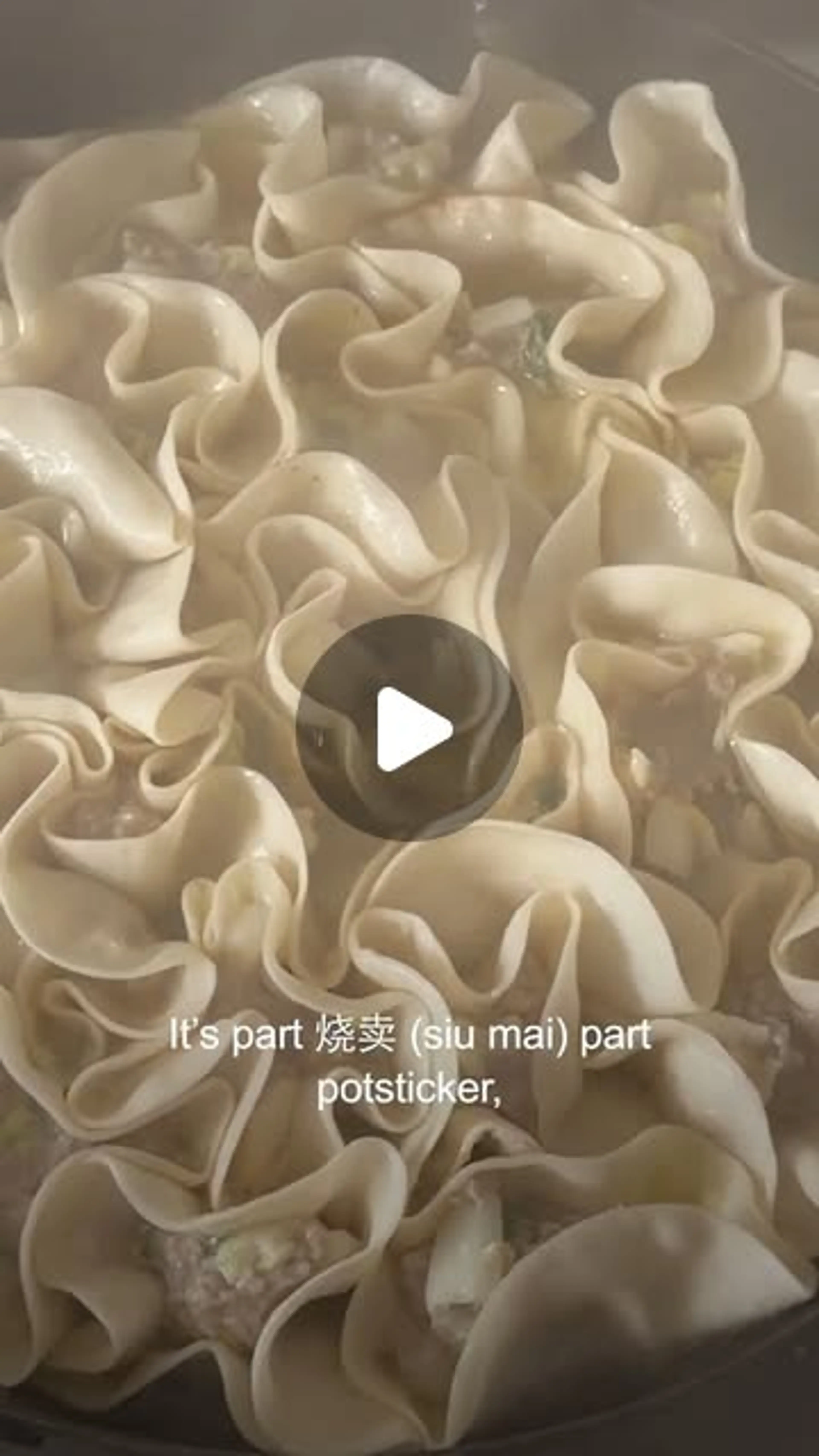 Not a Fan of Folding Dumplings