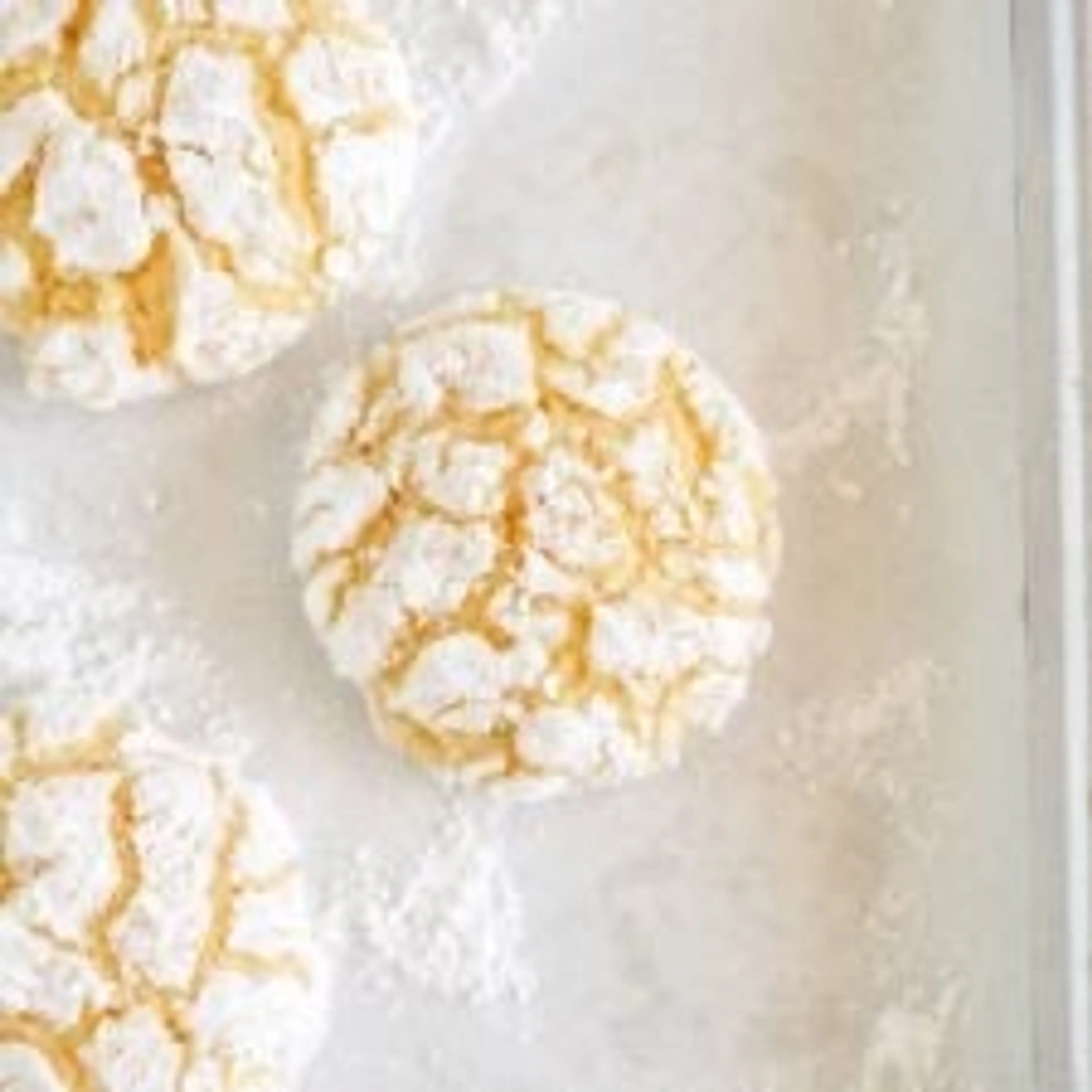 30 Minute Lemon Crinkle Cookies with Fresh Lemon