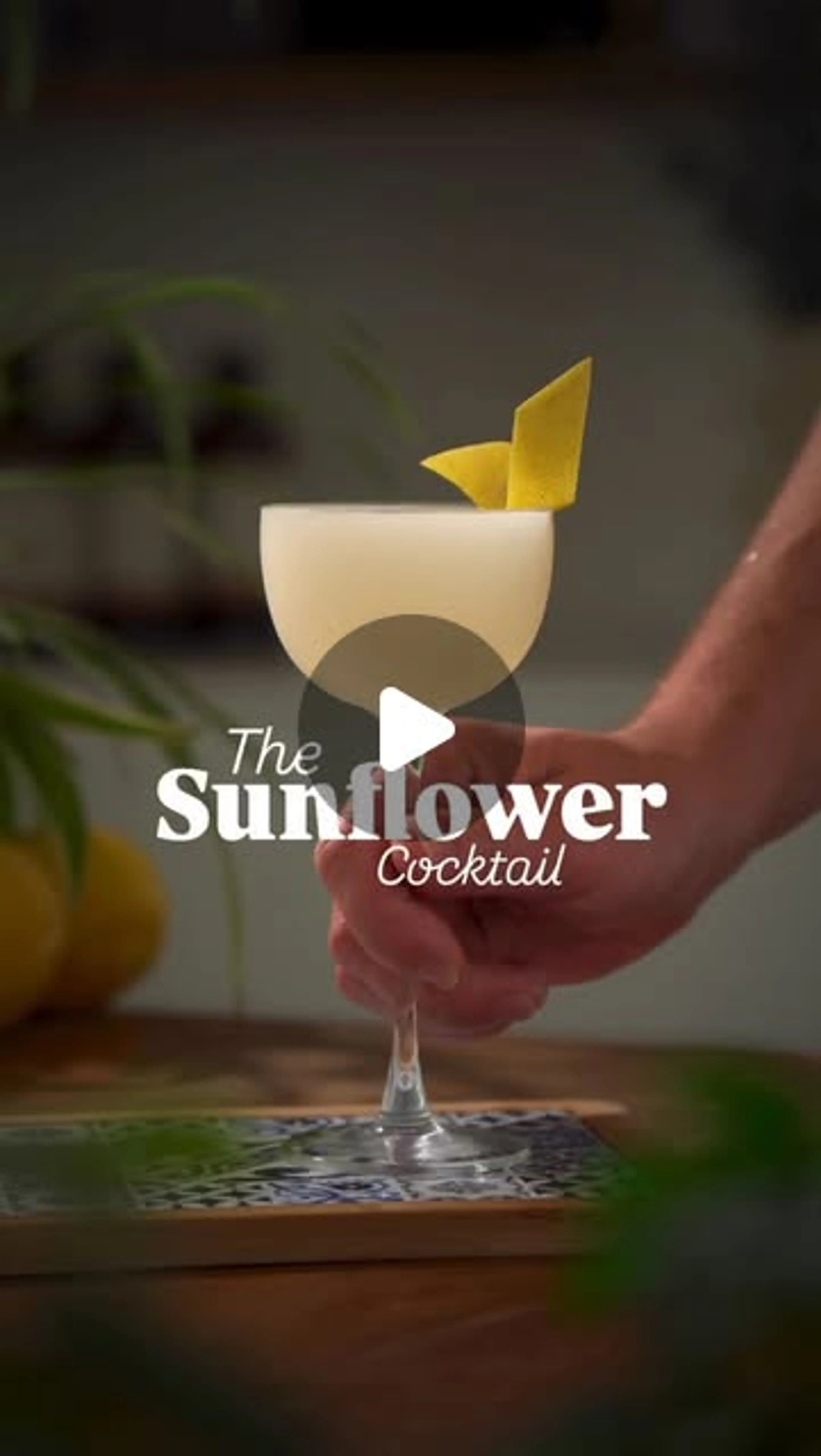 Sunflower Cocktail