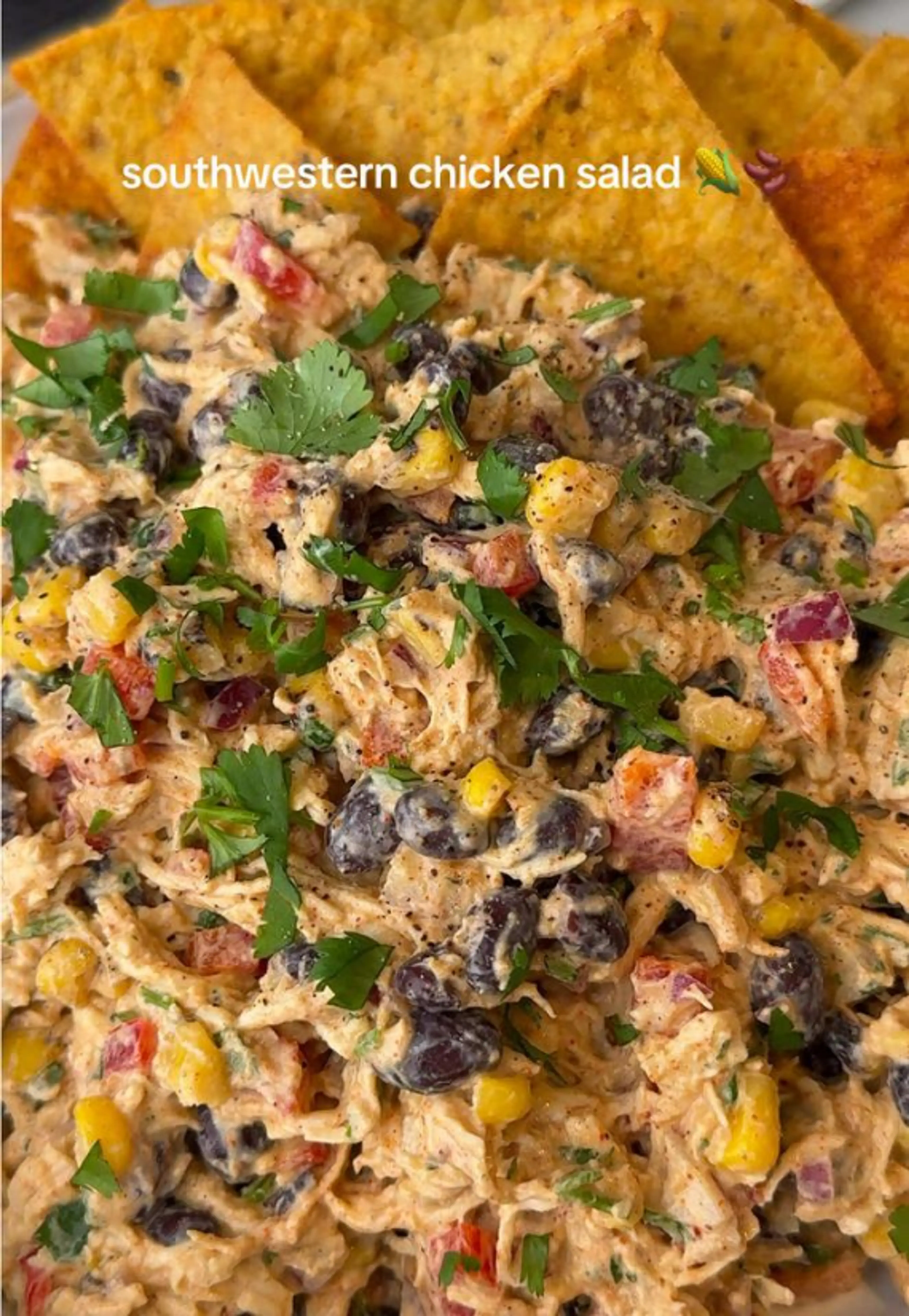 Me 🤝 Prepping a New Chicken Salad Variation Every Week. the