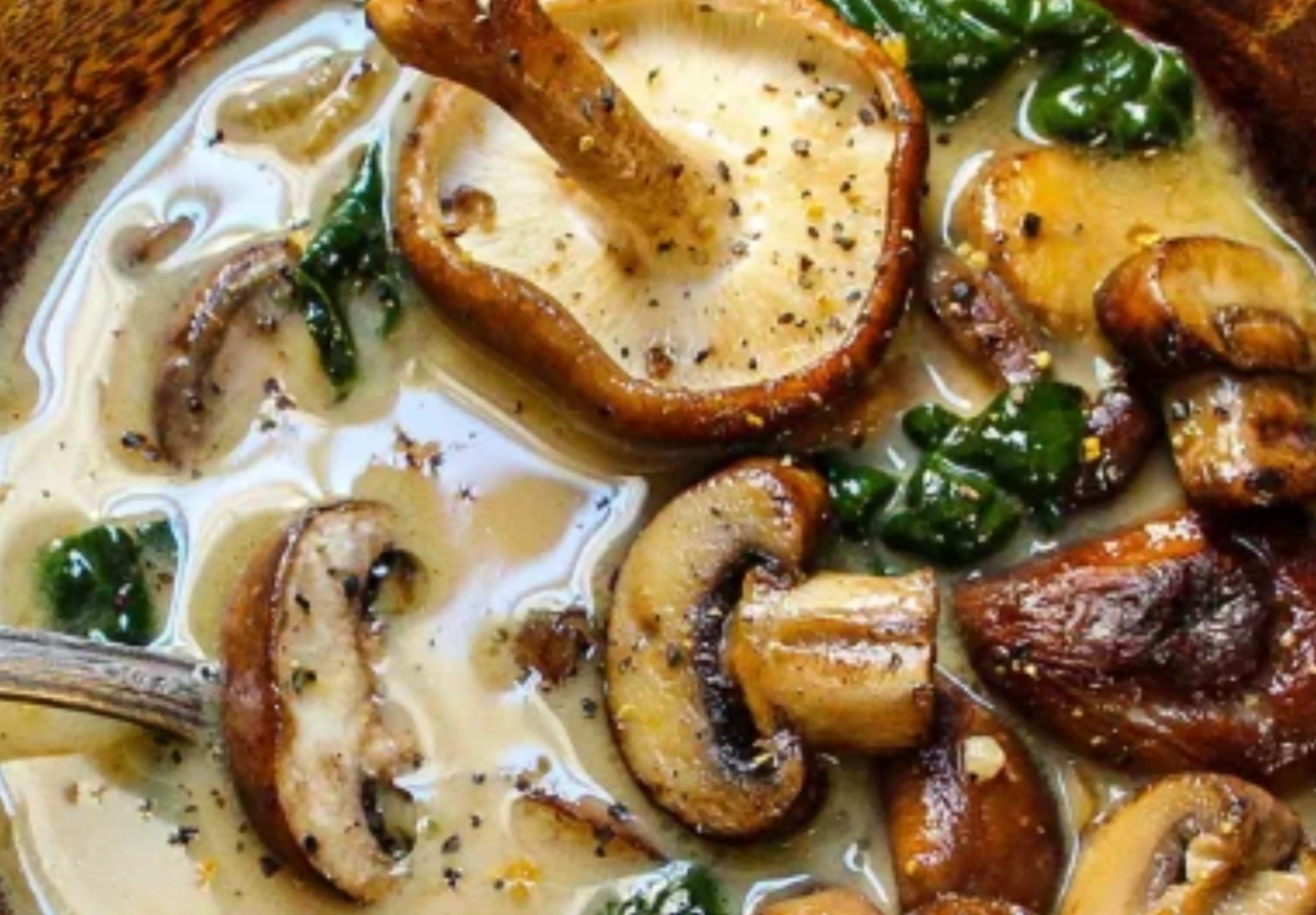 Wild Mushroom & Caramelised Onion Soup