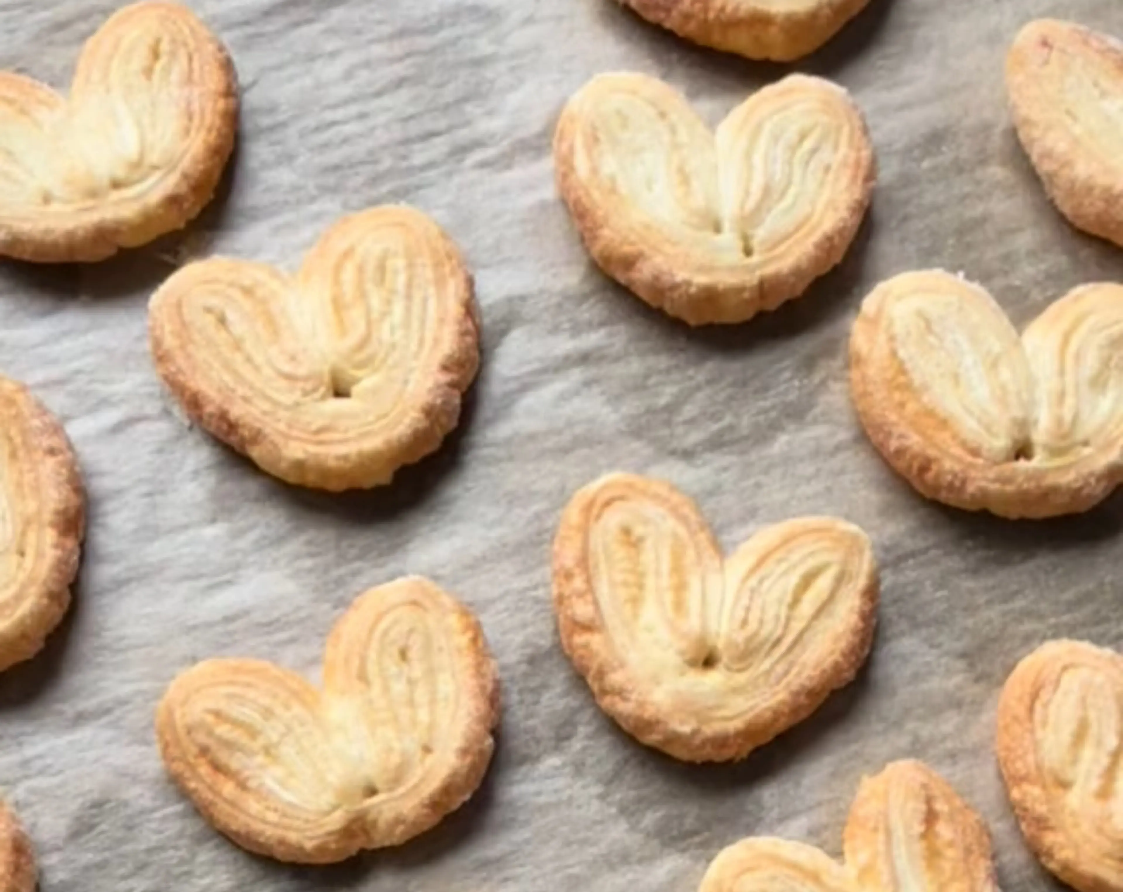 Palmiers