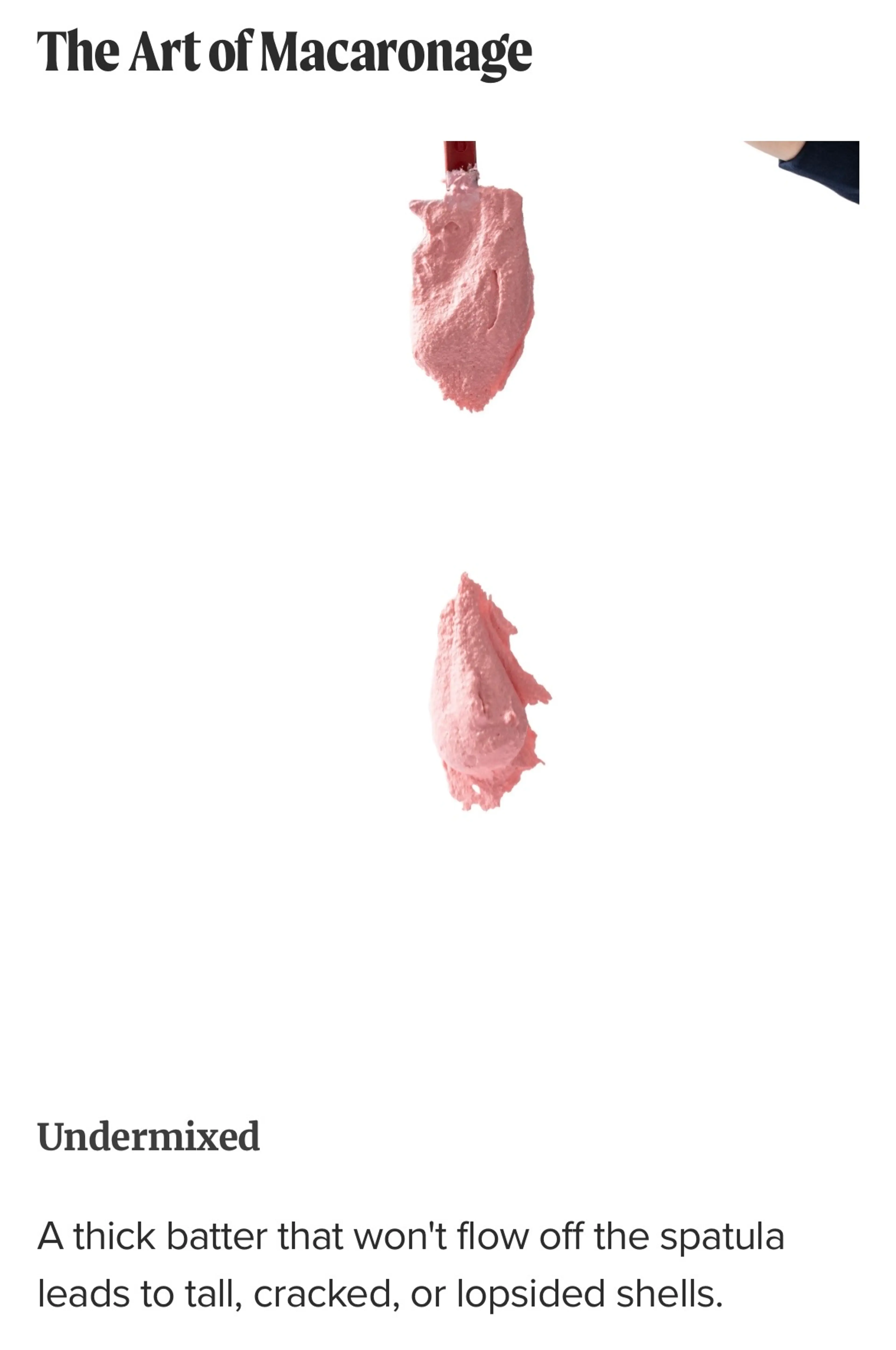 Macarons with Semisweet Chocolate Ganache (ATK)