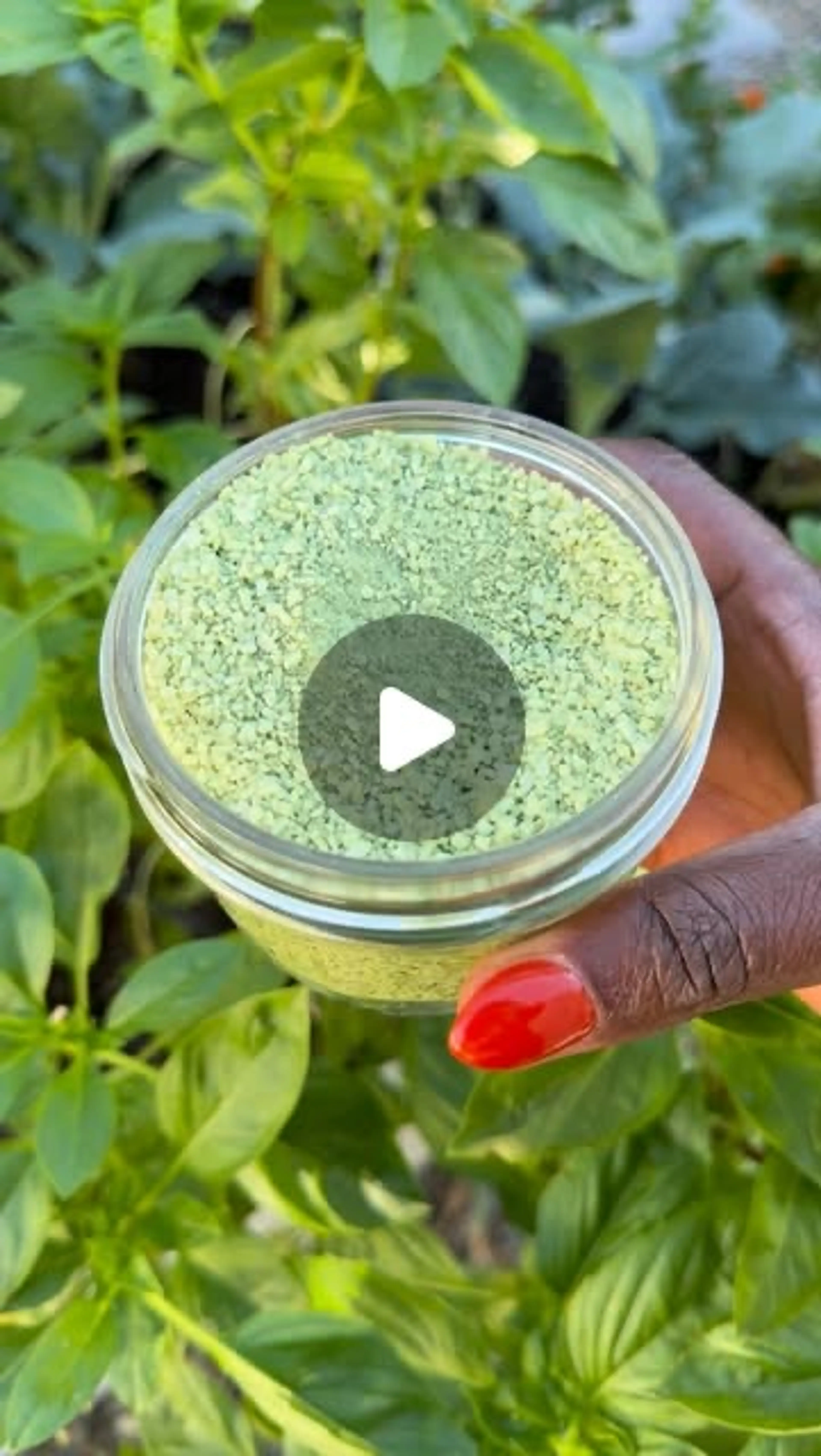Basil Salt