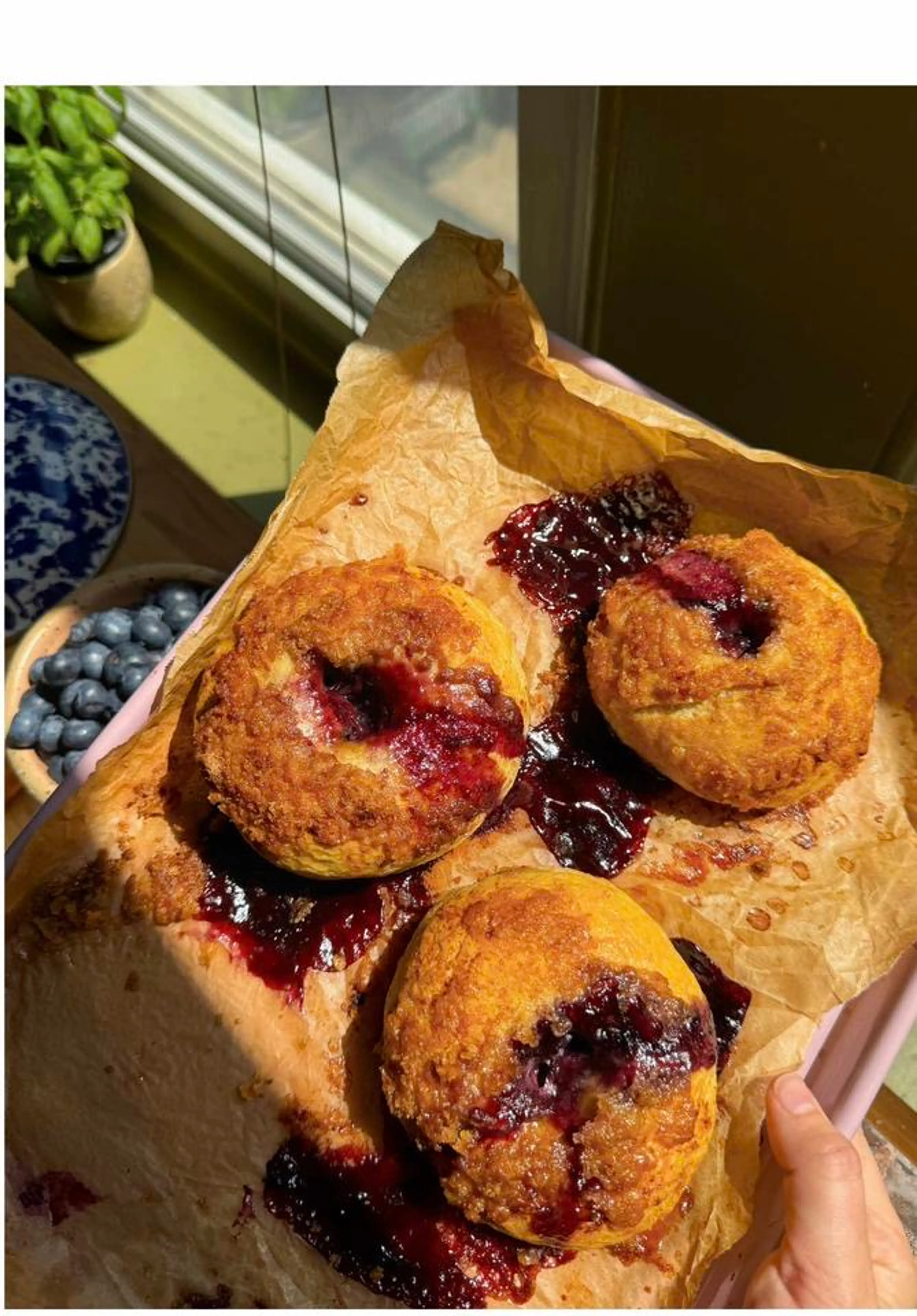 Cinnamon Crunch Blueberry Bagels—back by Popular Demand