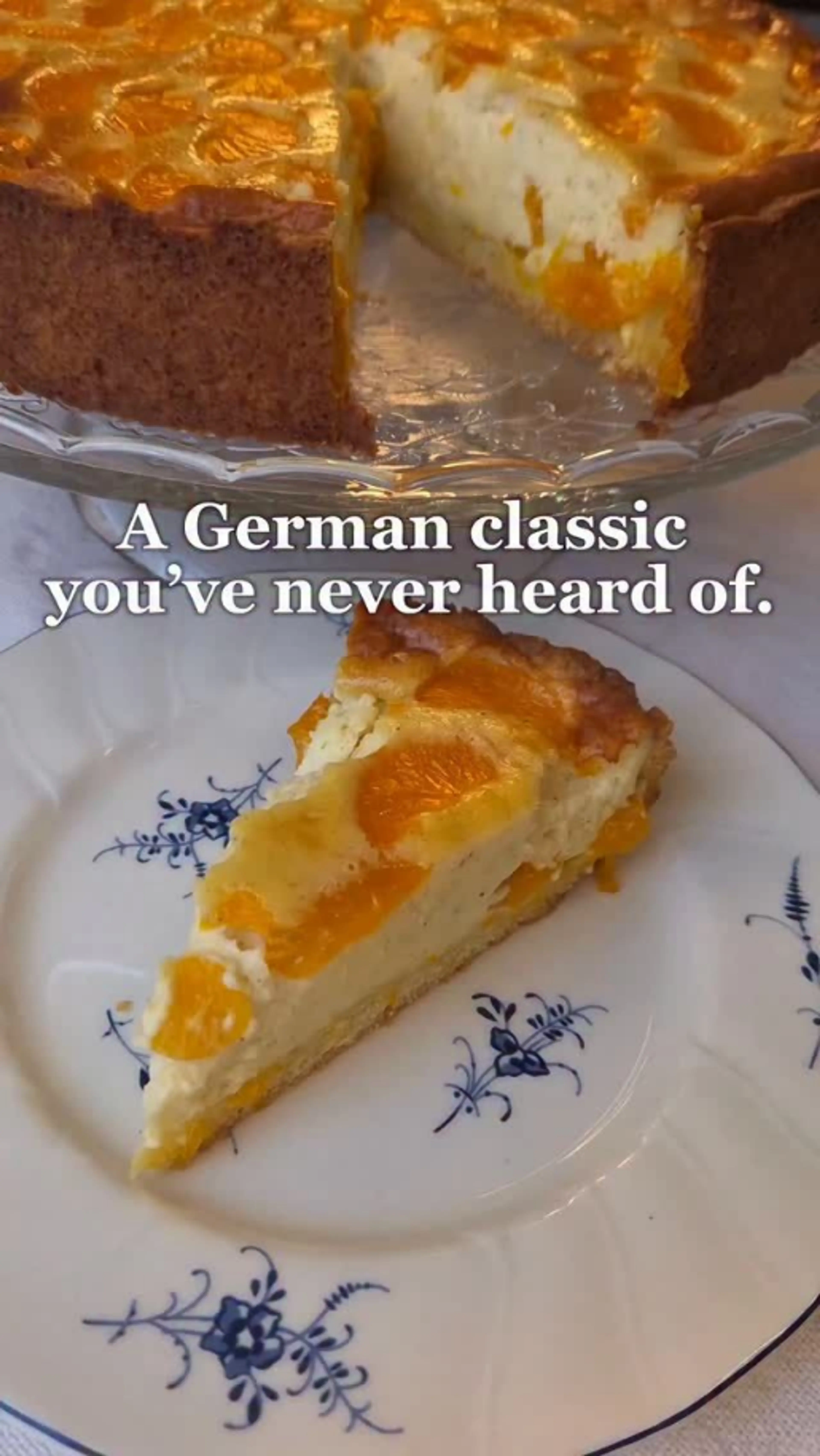German Creamy Mandarin Cake