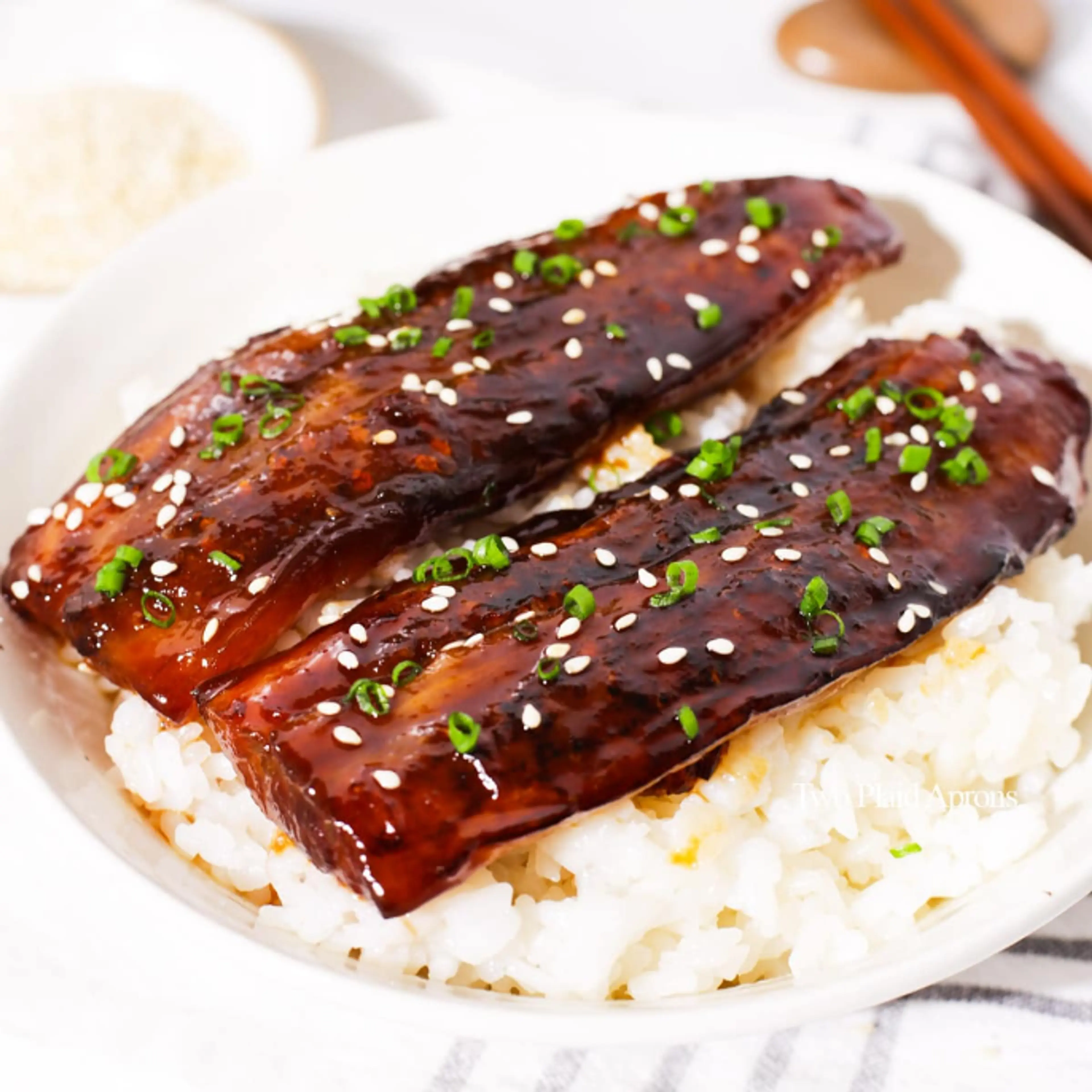 Vegan Eggplant Ungai Don
