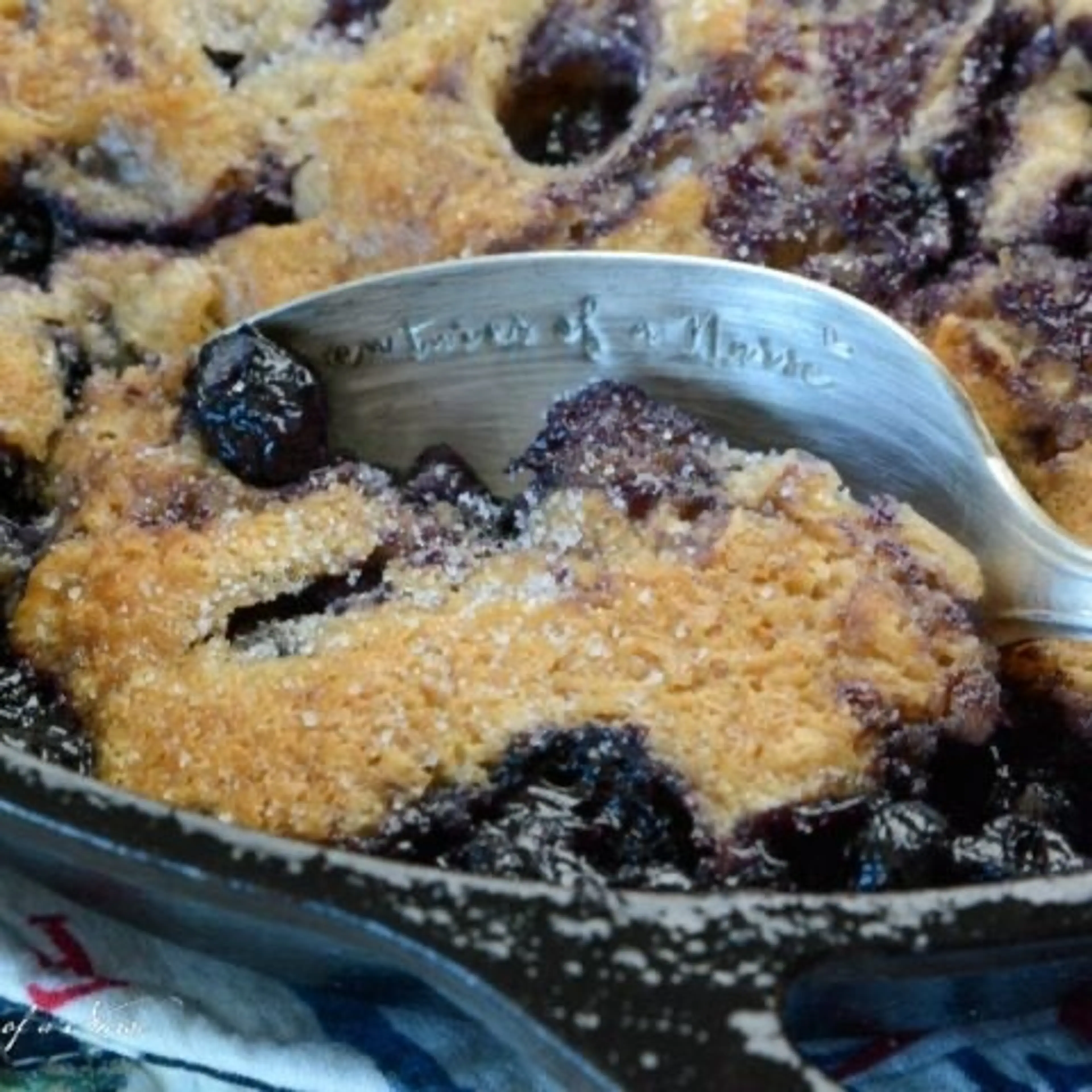 Cast Iron Skillet Blueberry Cobbler