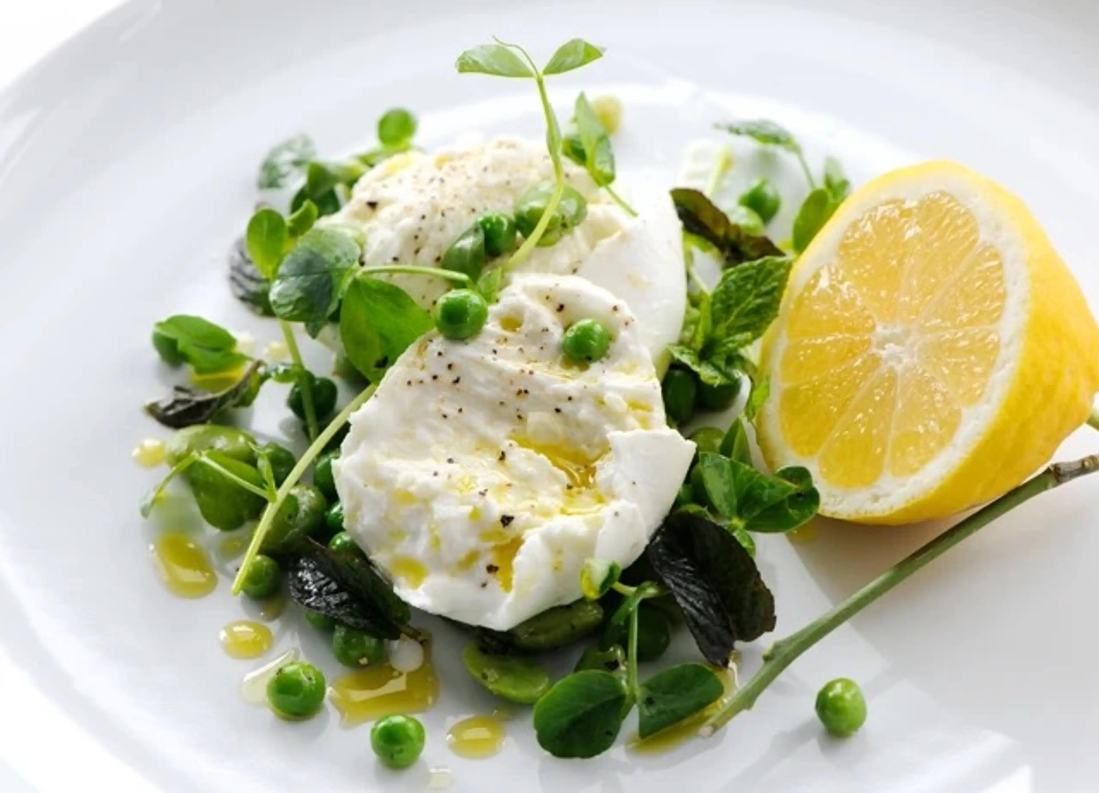 Buffalo Mozzarella with Broad Beans, Mint, Lemon & Olive Oil