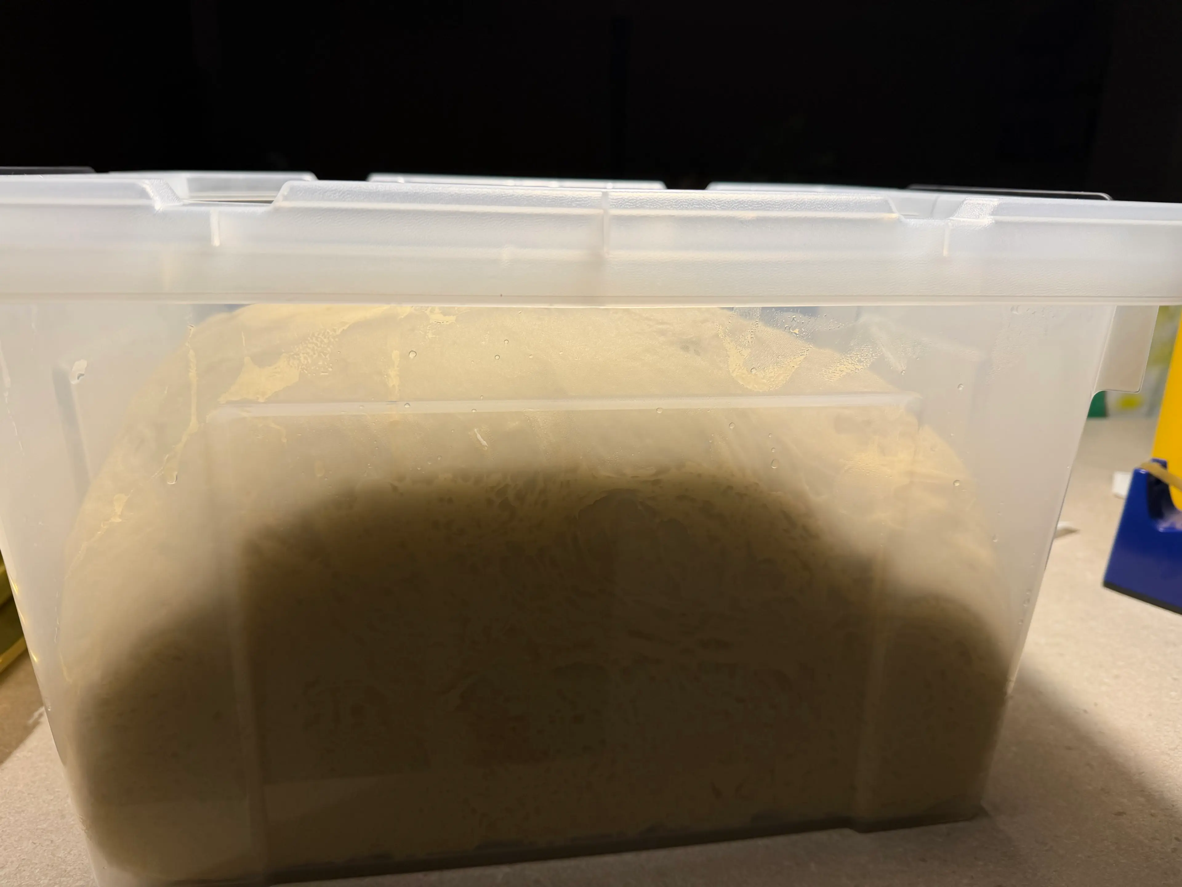 Roscón De Reyes, la Fórmula